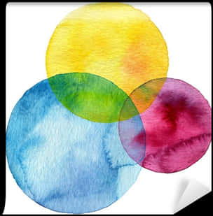 Watercolor Venn Diagram Transparent Background PNG