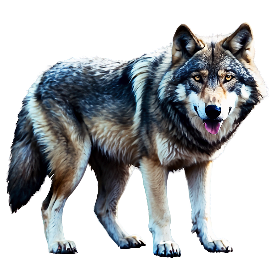 Watercolor Wolf Painting Png Sqm95 PNG