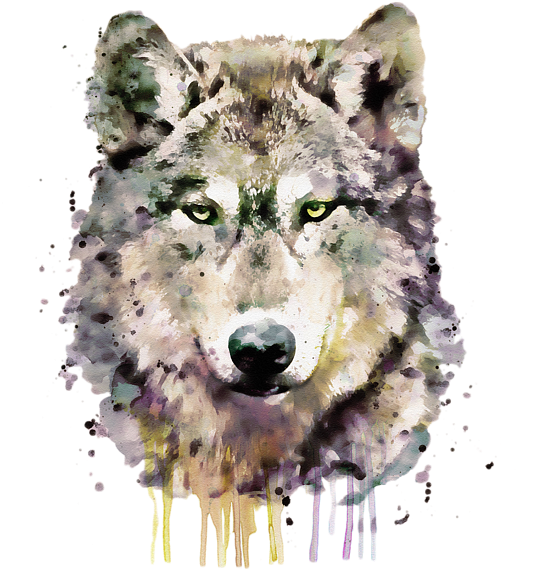Watercolor Wolf Portrait PNG