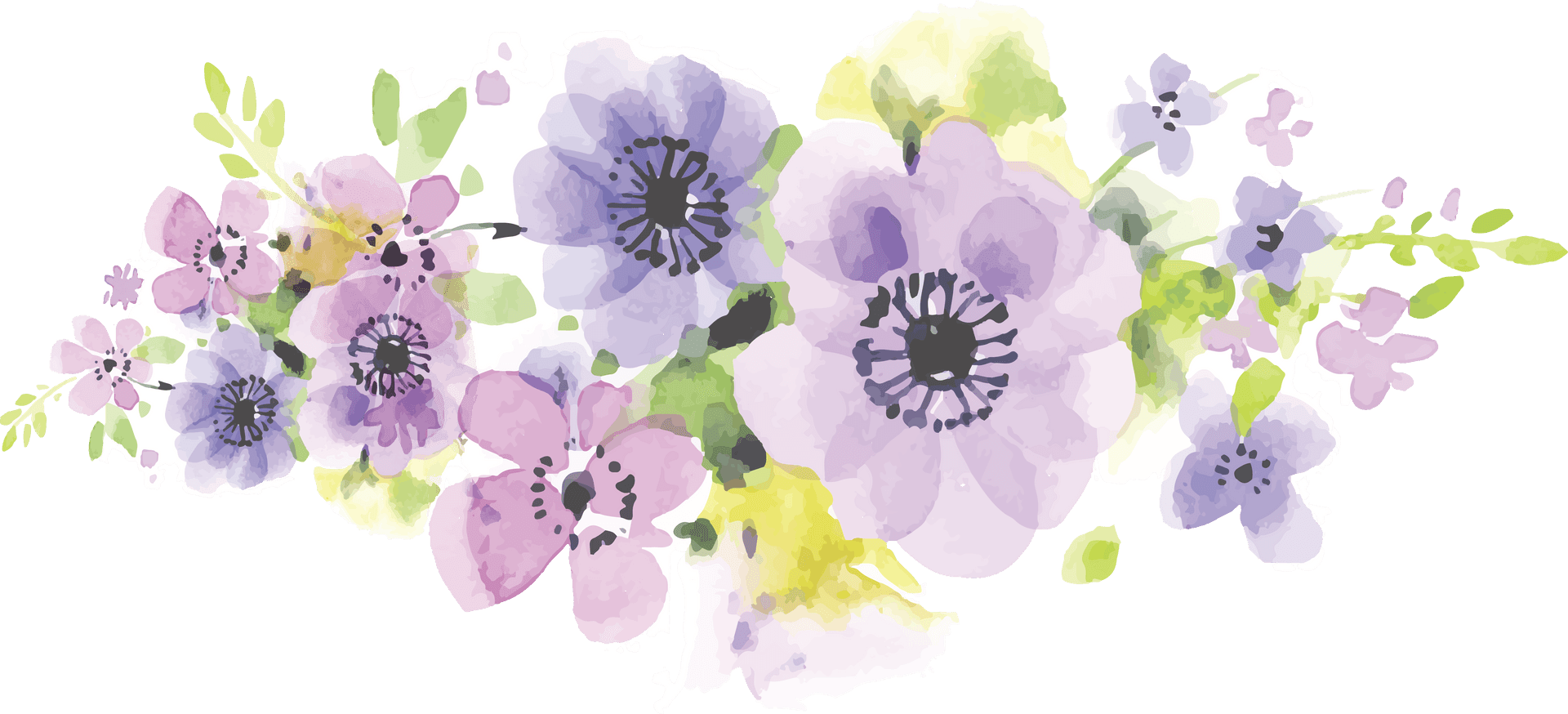 Watercolor_ Purple_ Flowers_ Artwork PNG