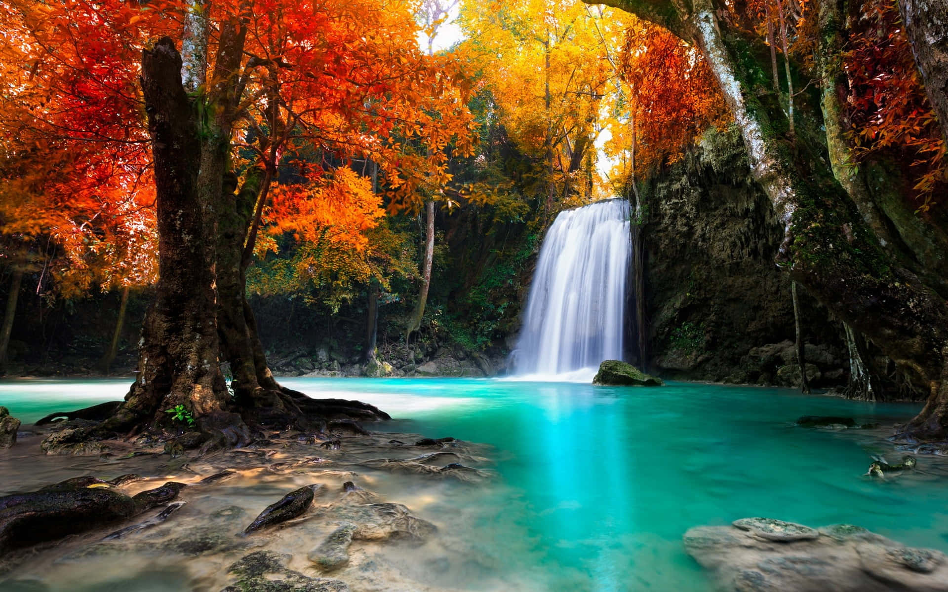 An enchanted cascading waterfall hidden in a lush green forest