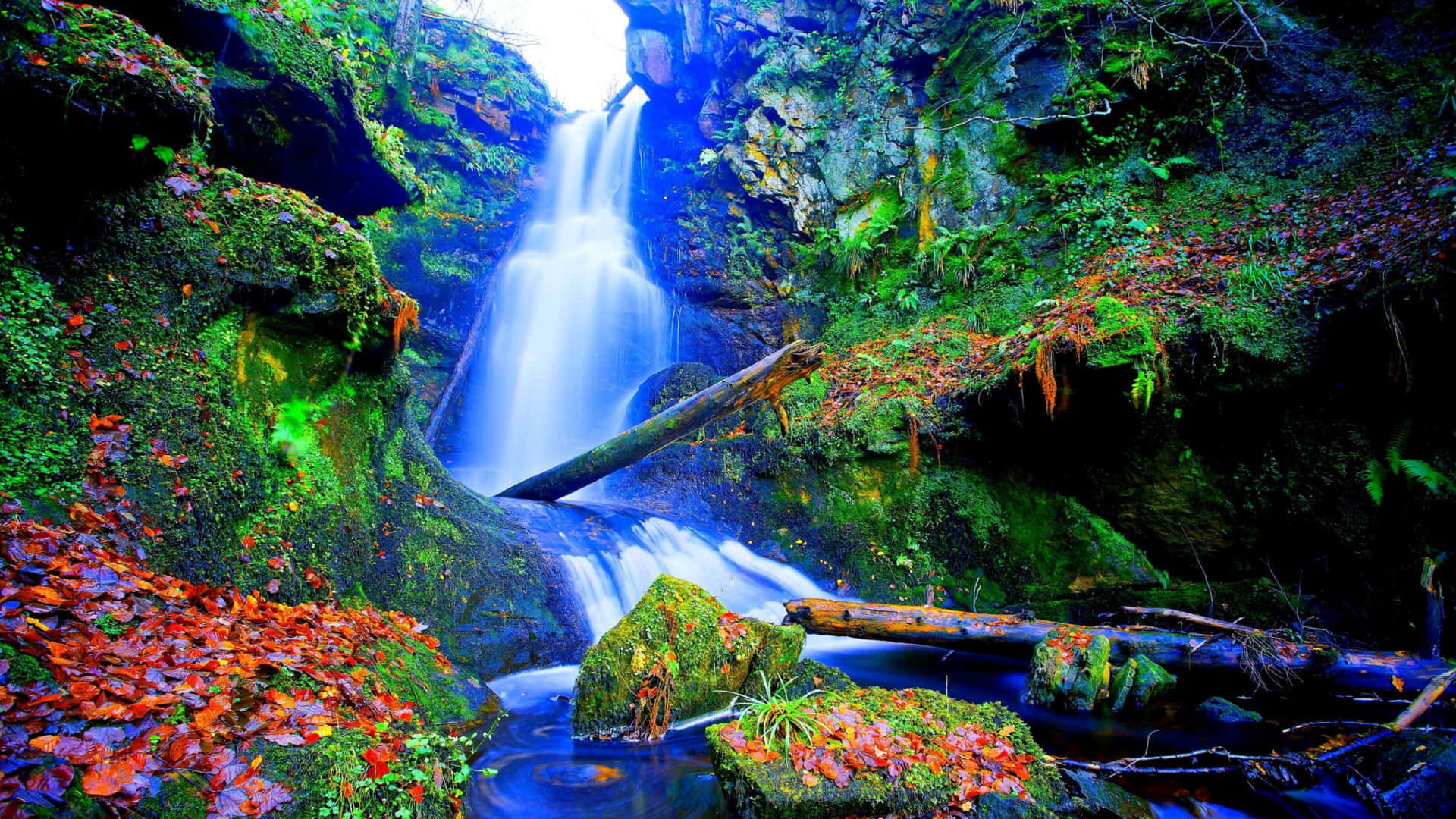 "Recharge with the majestic beauty of a waterfall!"