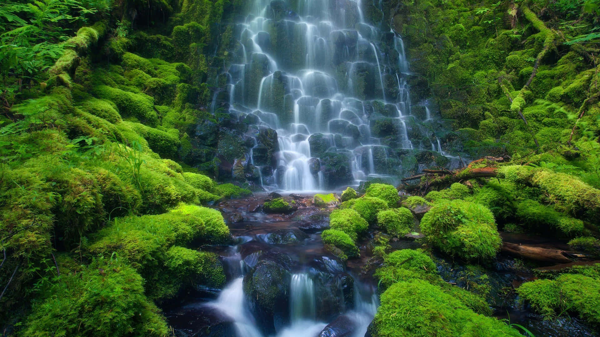 "Take a Moment to Rejuvenate by the Sight of This Waterfall"