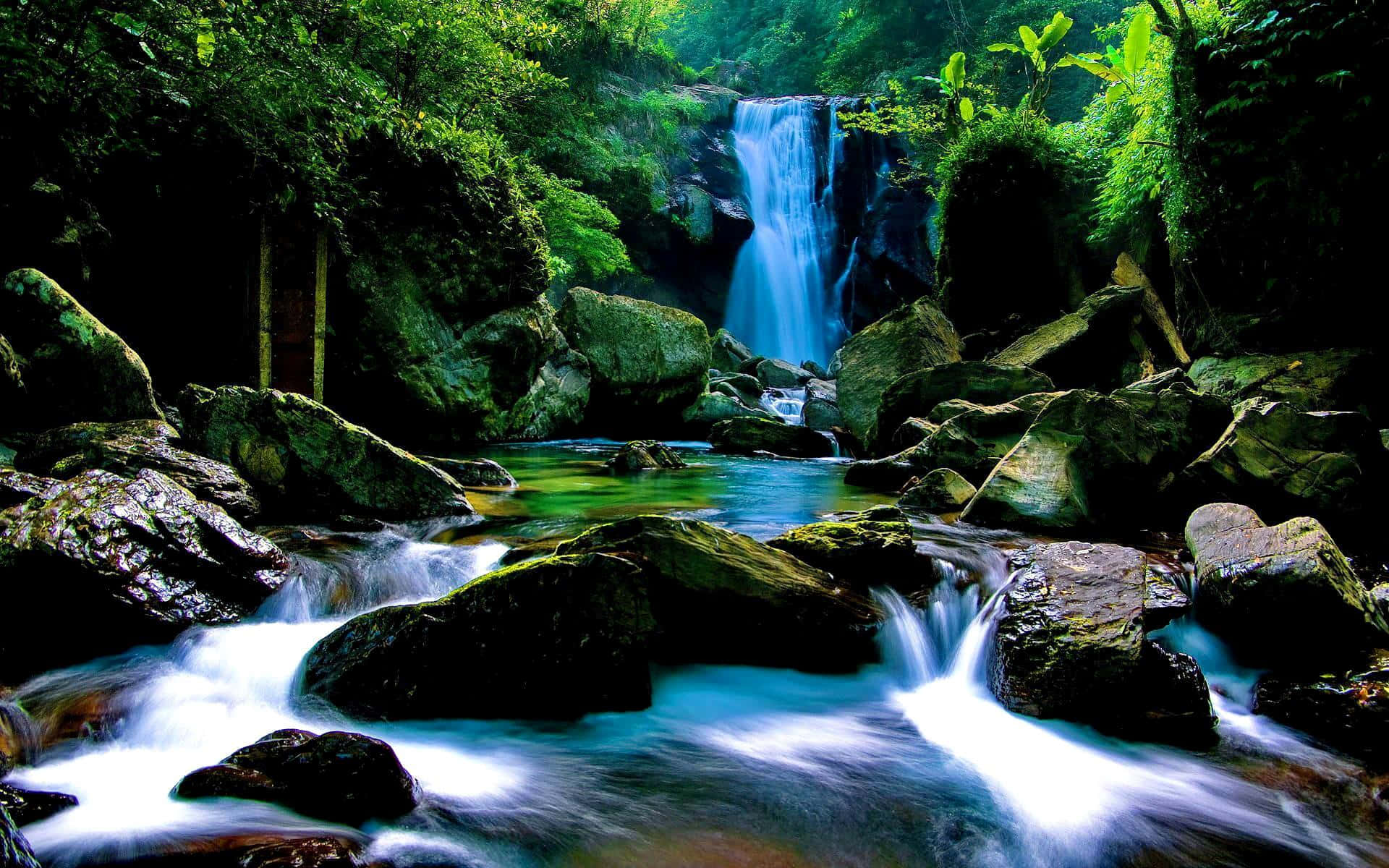 Majestic Waterfall in a Hidden Forest