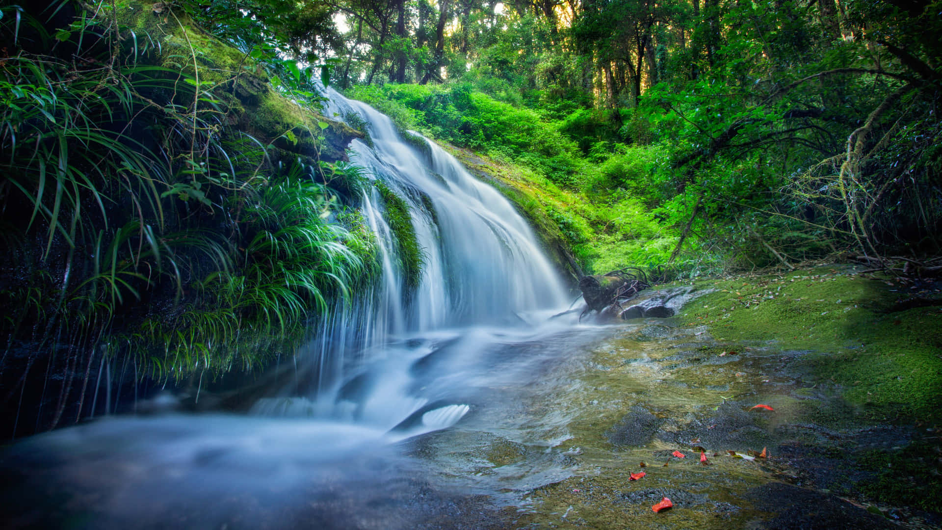Take a journey to a tranquil oasis with this stunning Waterfall background.