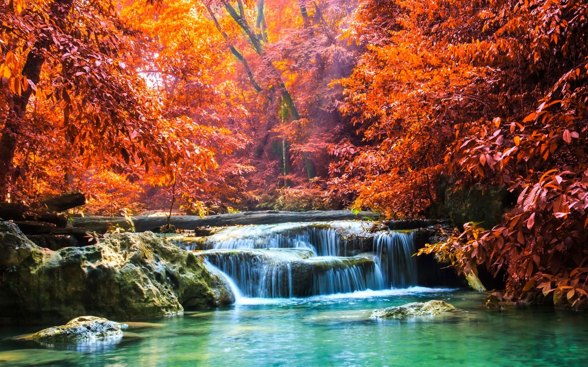 Dienatürliche Schönheit Eines Tropischen Wasserfalls