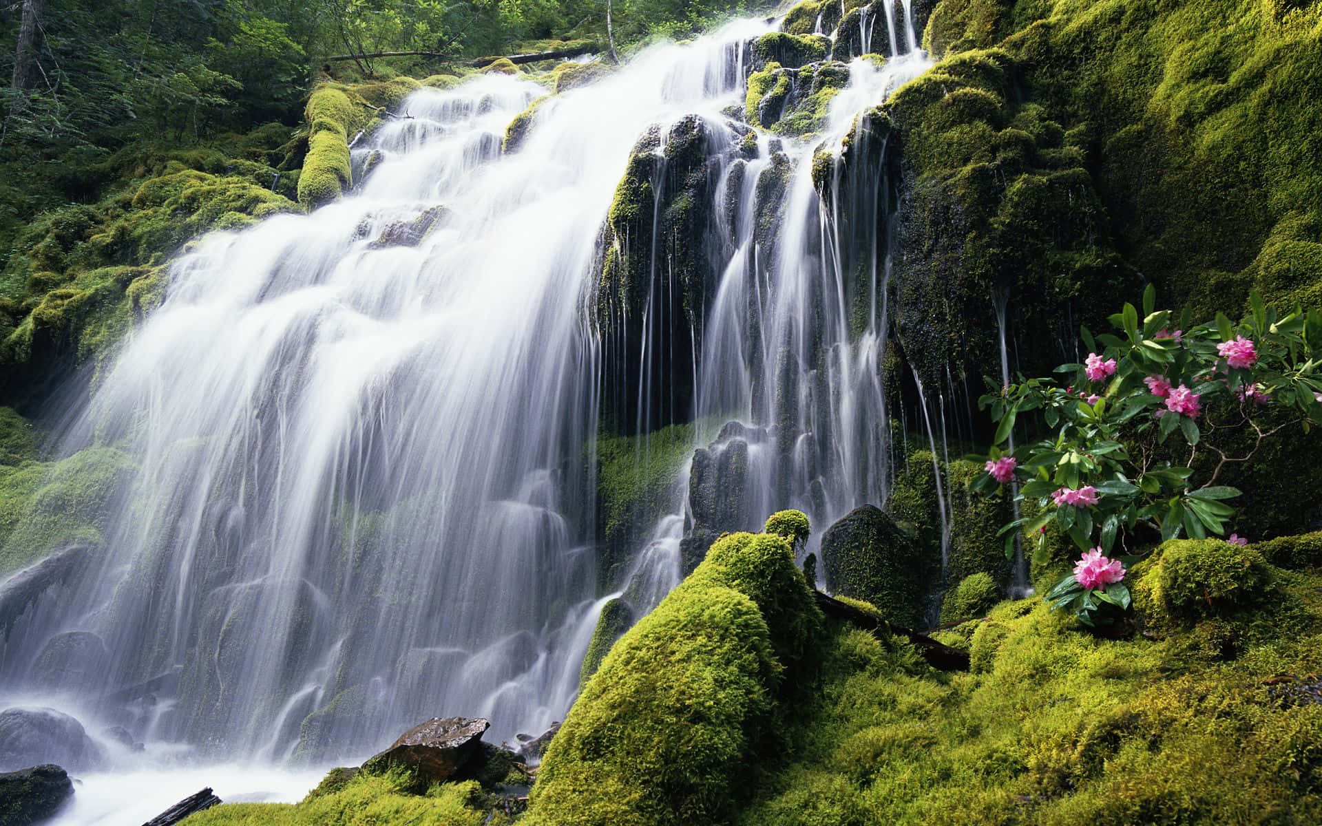 Proxy Falls Oregon Waterfall Desktop Wallpaper