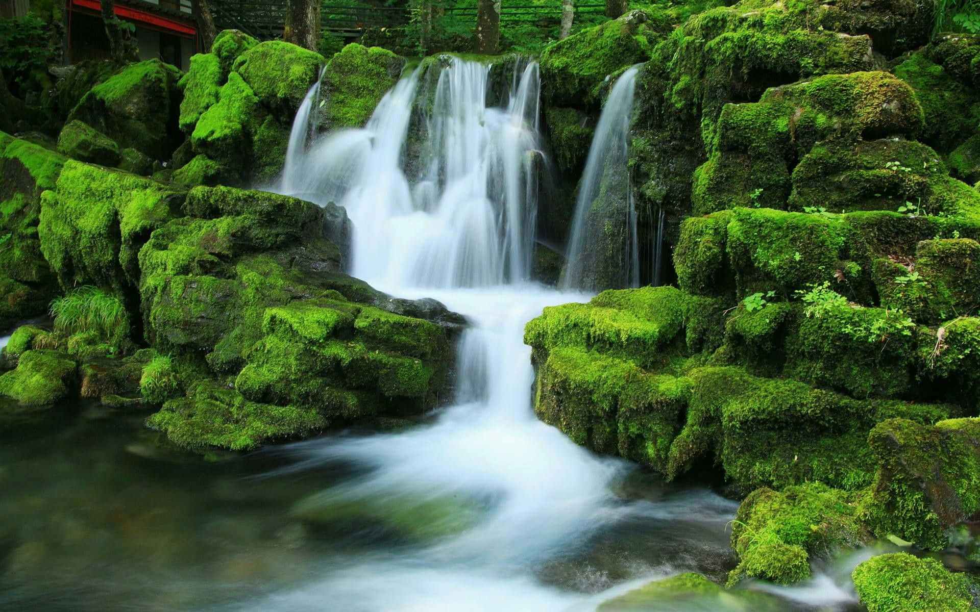 Green Algae On Rocks Waterfall Desktop Wallpaper