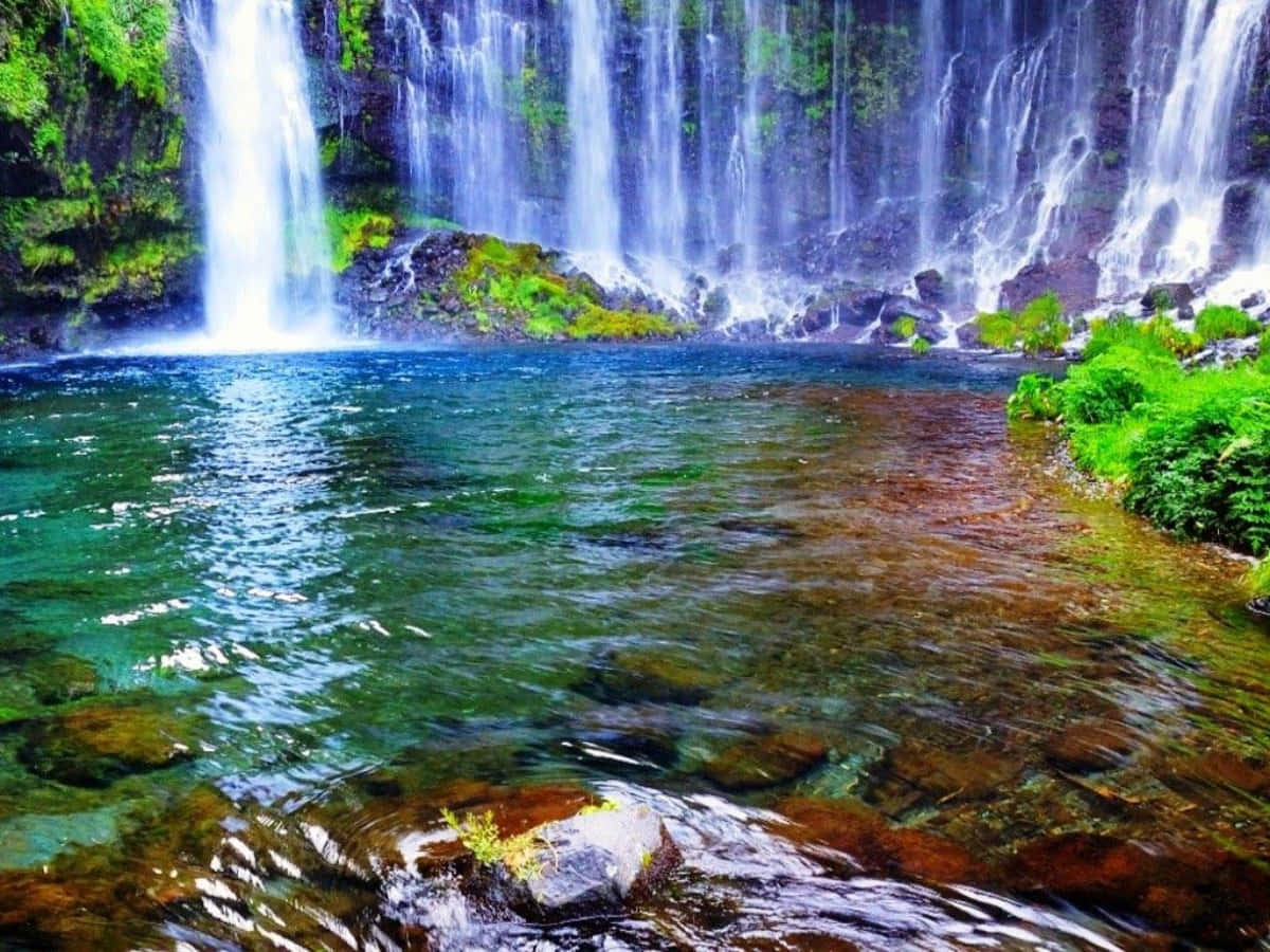 Анимация живых обоев. Красивые водопады. Движущиеся водопады. Анимационные водопады. Живая природа водопады.