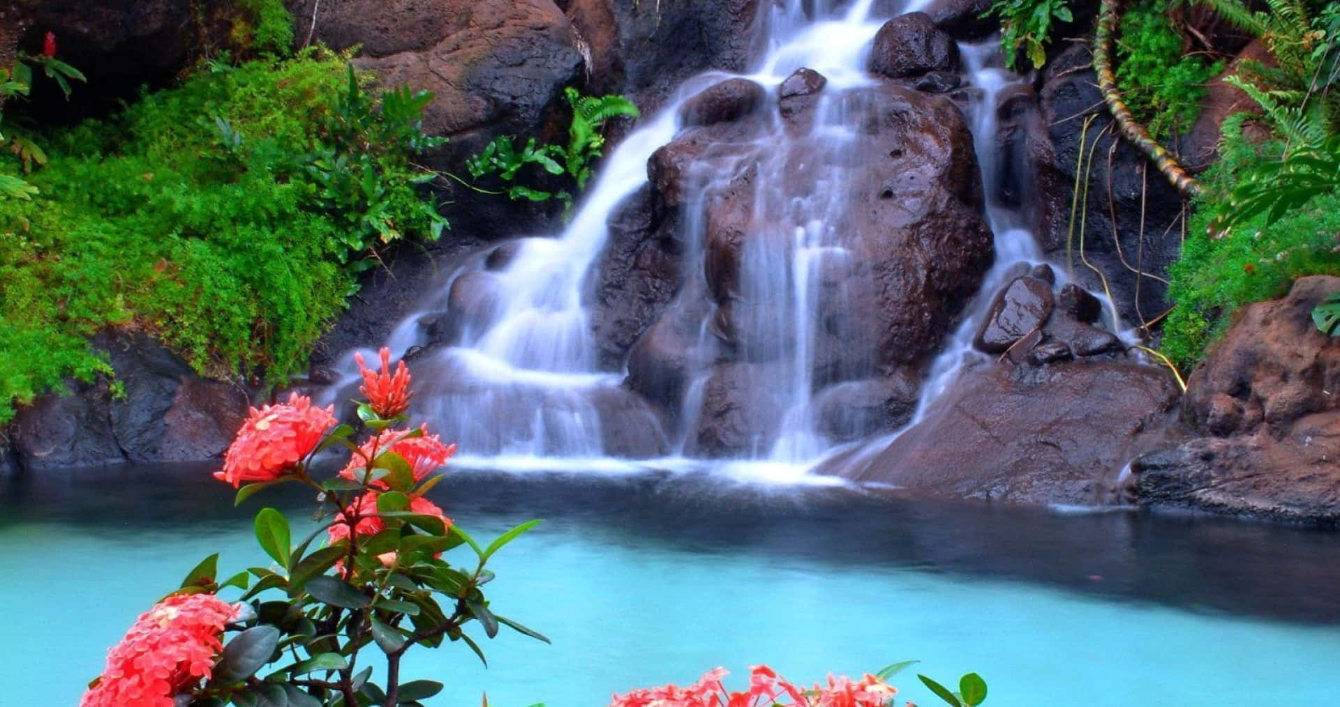 Wasserfallhintergrundbild Mit Dschungelgeranien-blumen Wallpaper