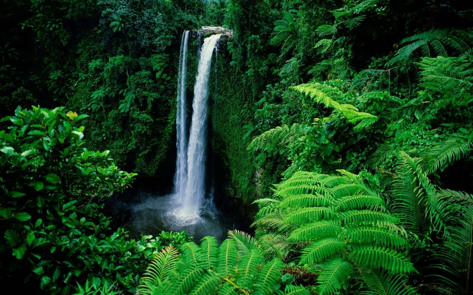Sopoaga Falls Samoa Waterfall Desktop Wallpaper