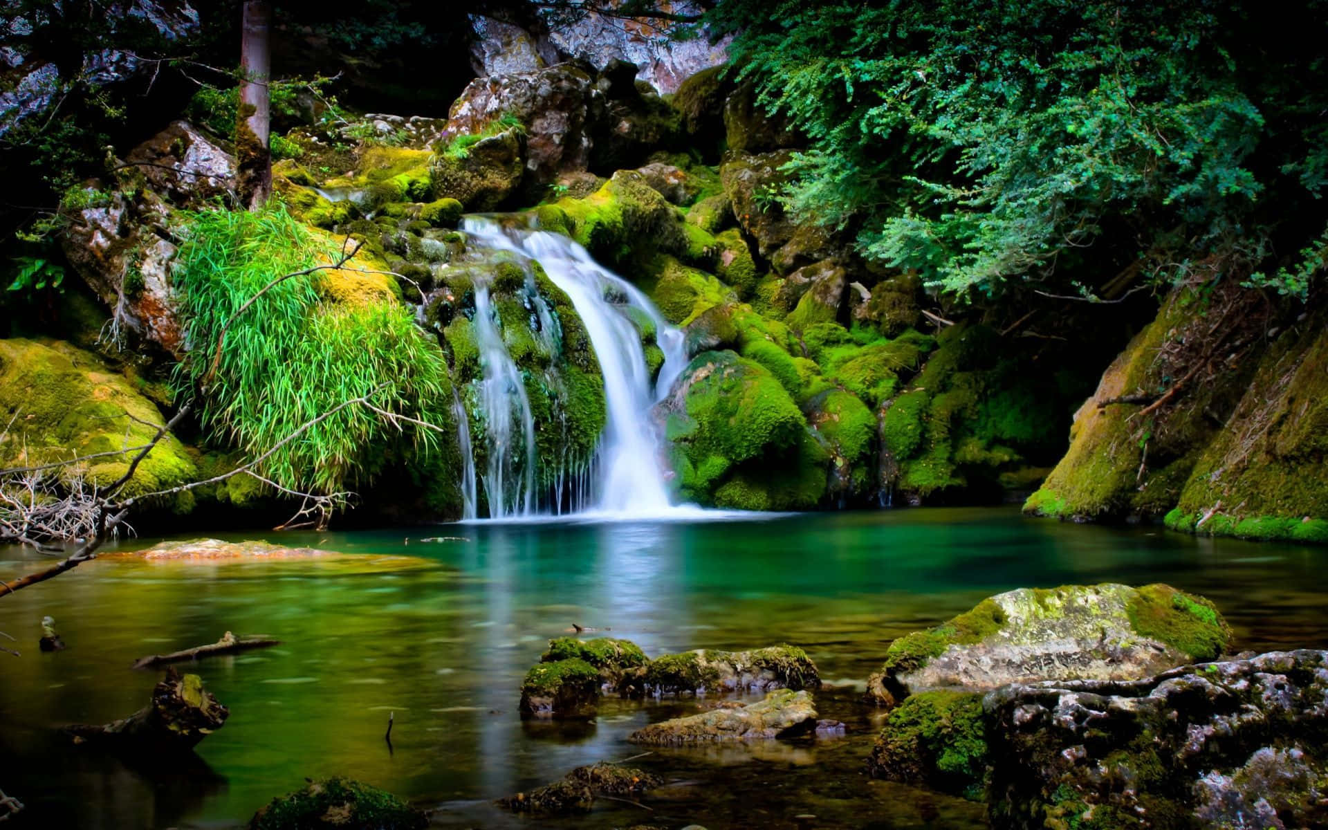 Tropischerwald Mit Wasserfall Am Desktop Wallpaper