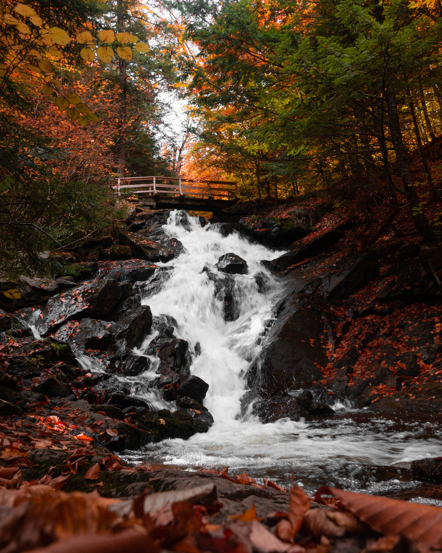 A beautiful waterfall cascading in Autumn Wallpaper