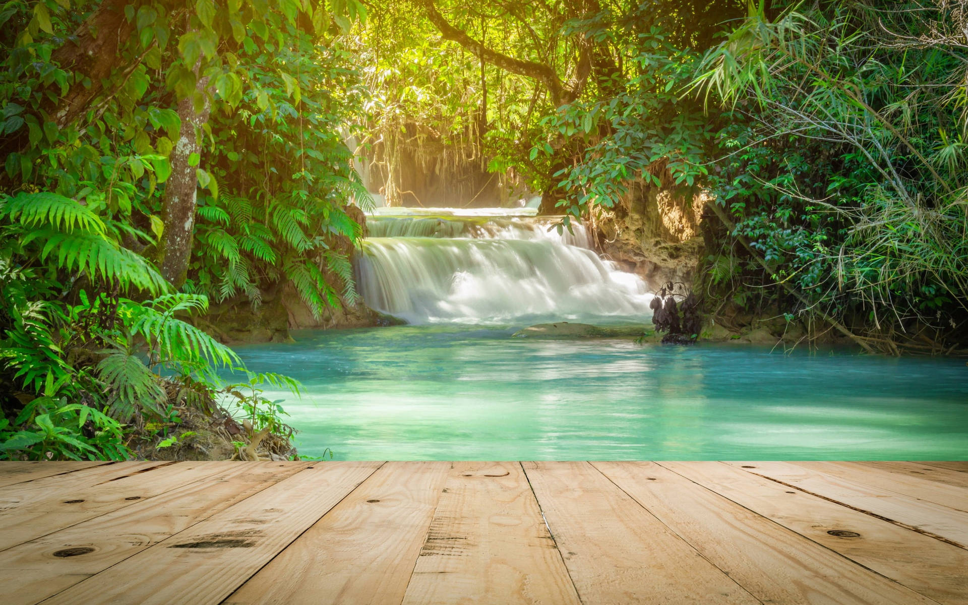Waterfall In Rainforest Tropical Desktop Wallpaper