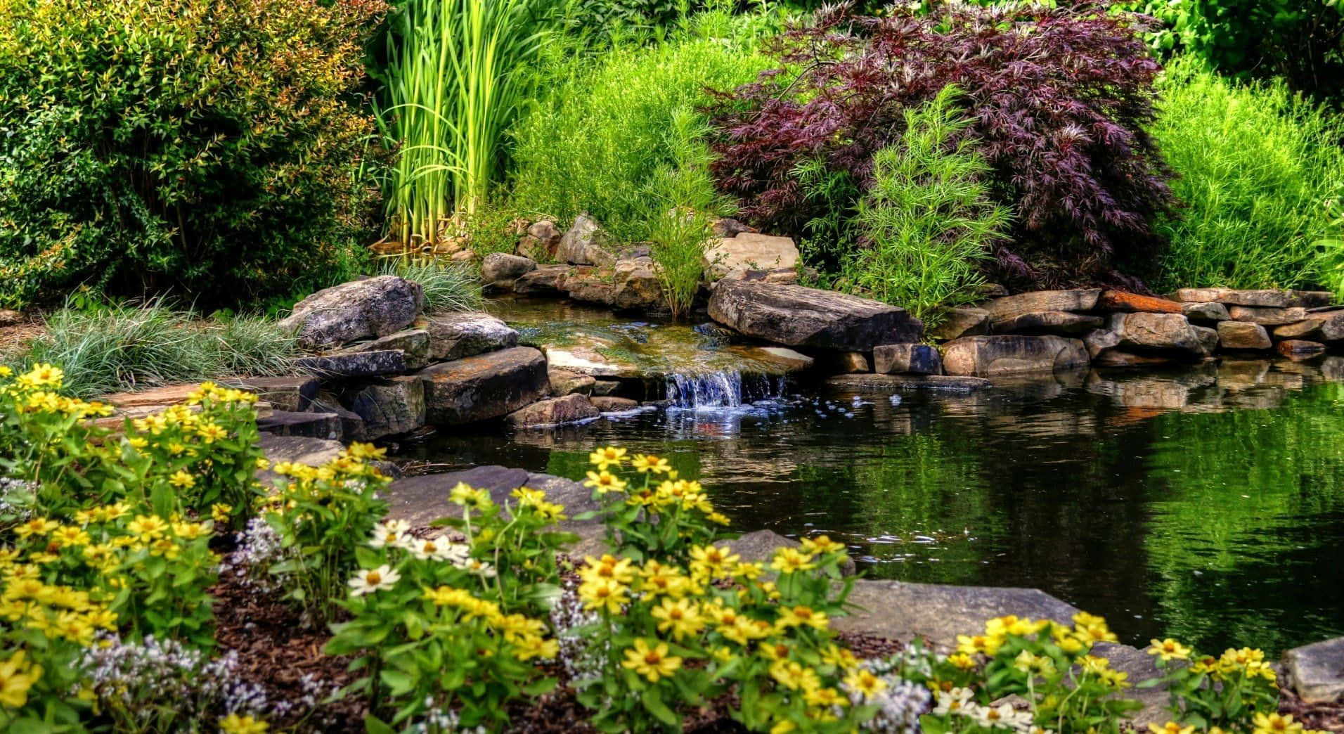 Waterfall Meets The Pond Wallpaper