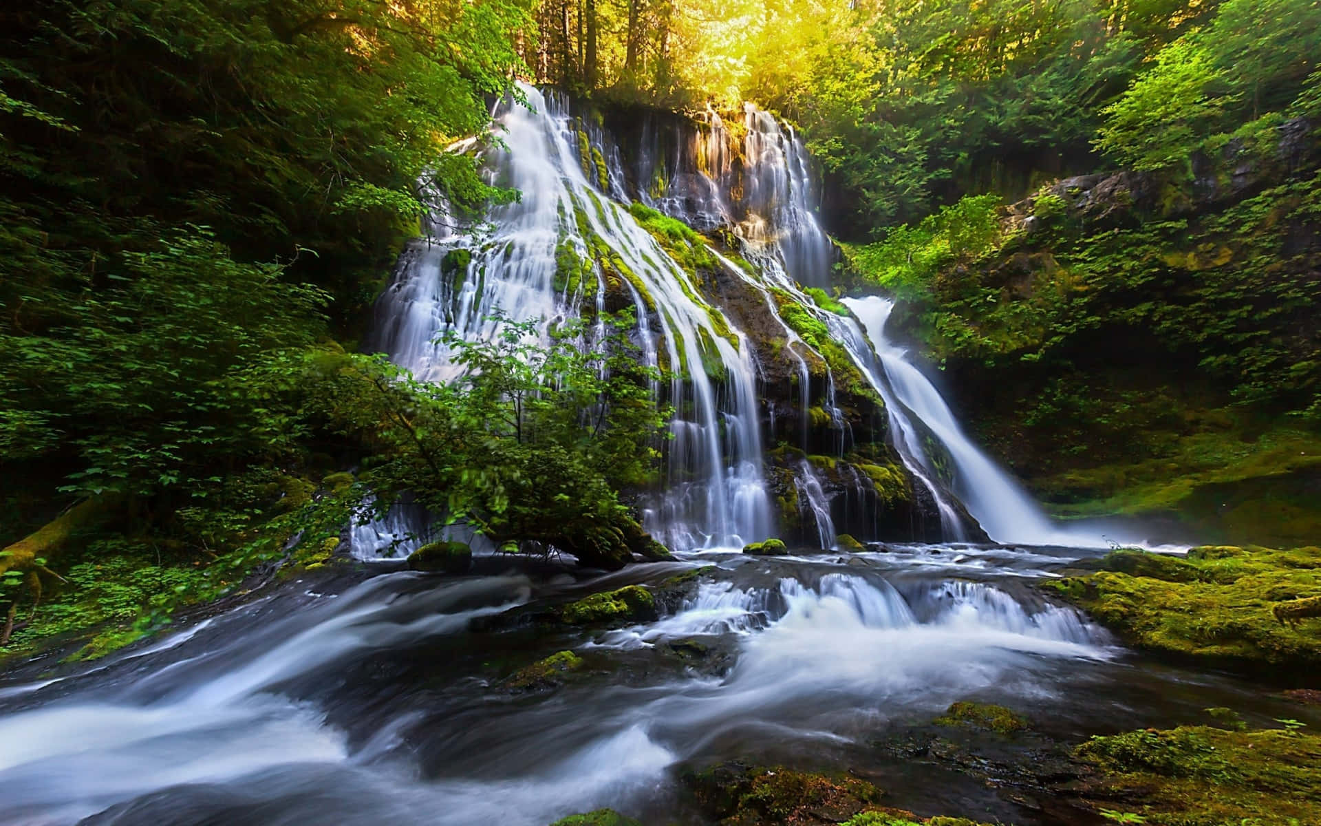 Waterfall Pictures