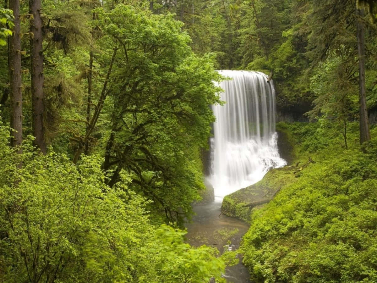 Waterfall Pictures