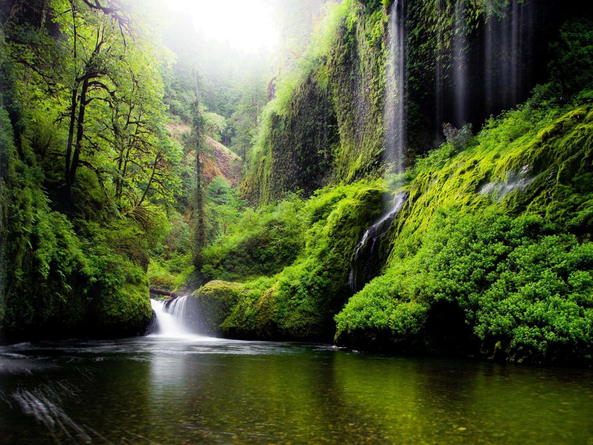 Wasserfallfluss Wald Naturfotografie Wallpaper