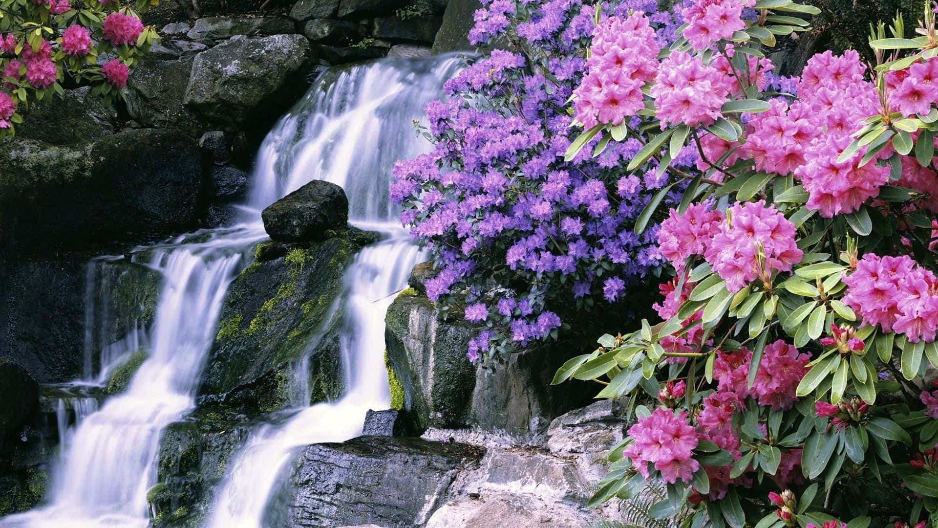 Enjoy the tranquility of cascading waterfalls