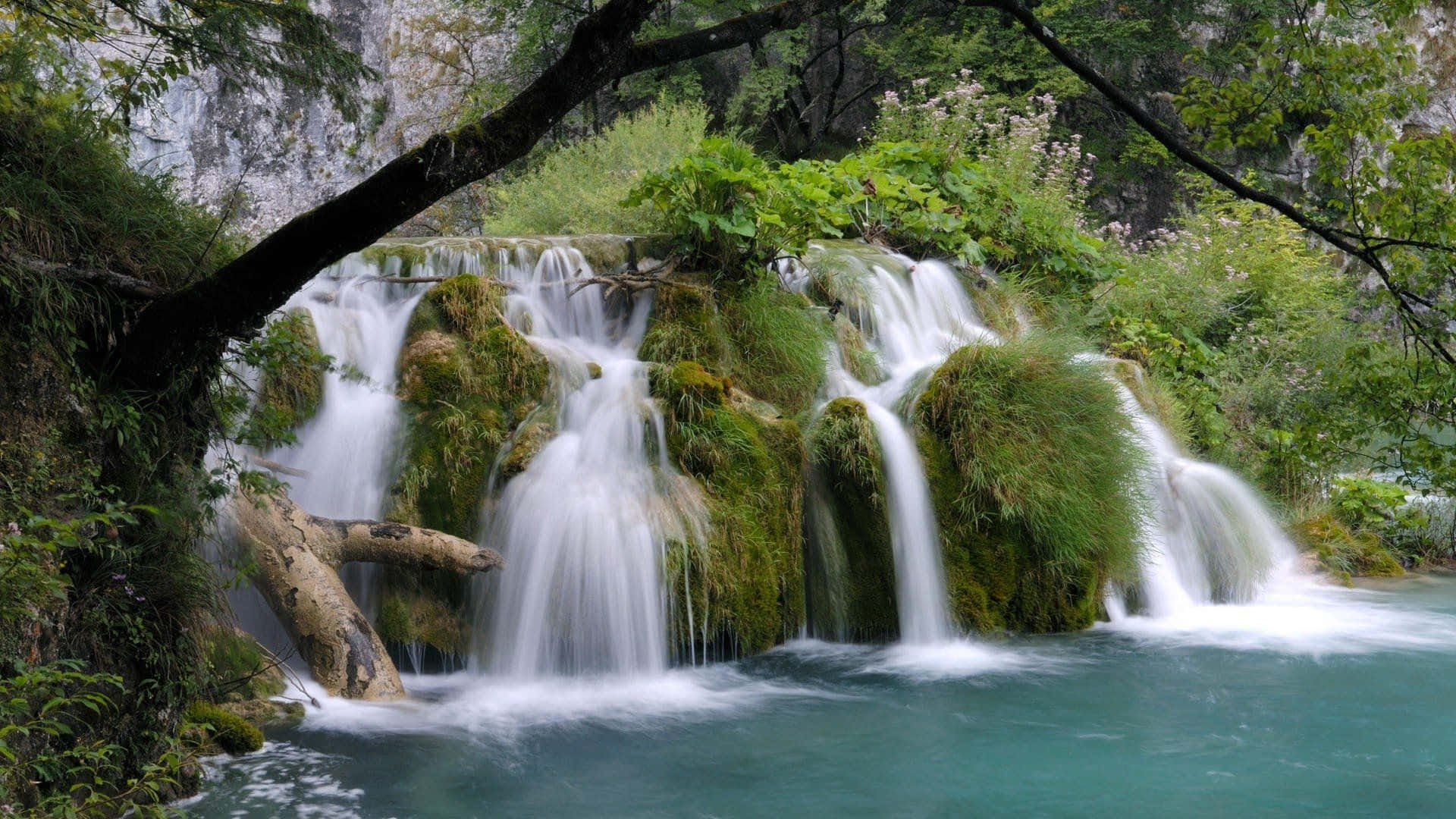 Belezamajestosa Da Natureza - Cachoeiras