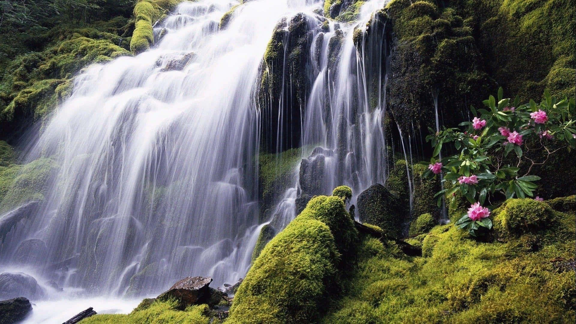 The Majestic Beauty of Nature In A Waterfall"