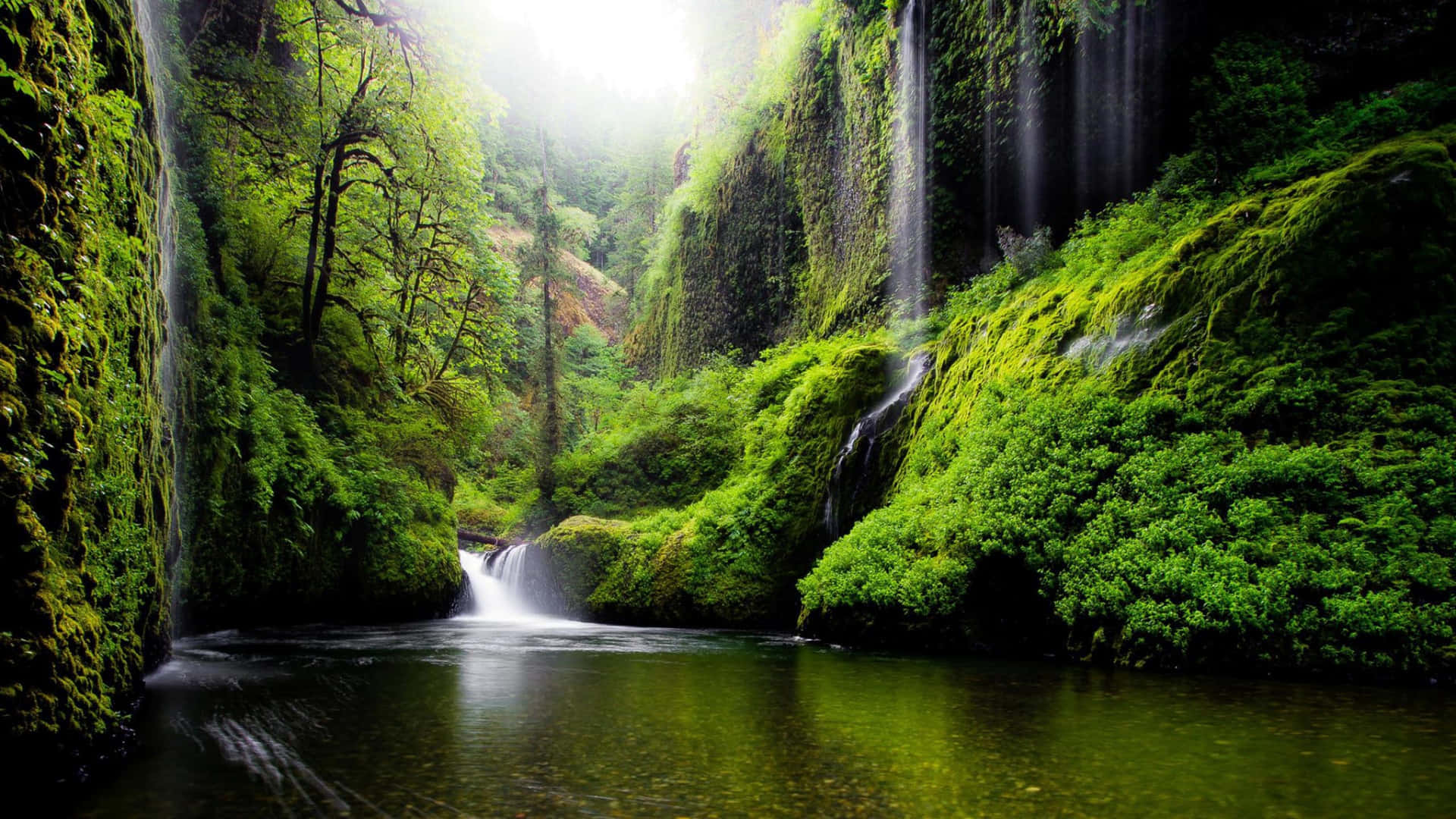 The Majestic Beauty of Waterfalls".