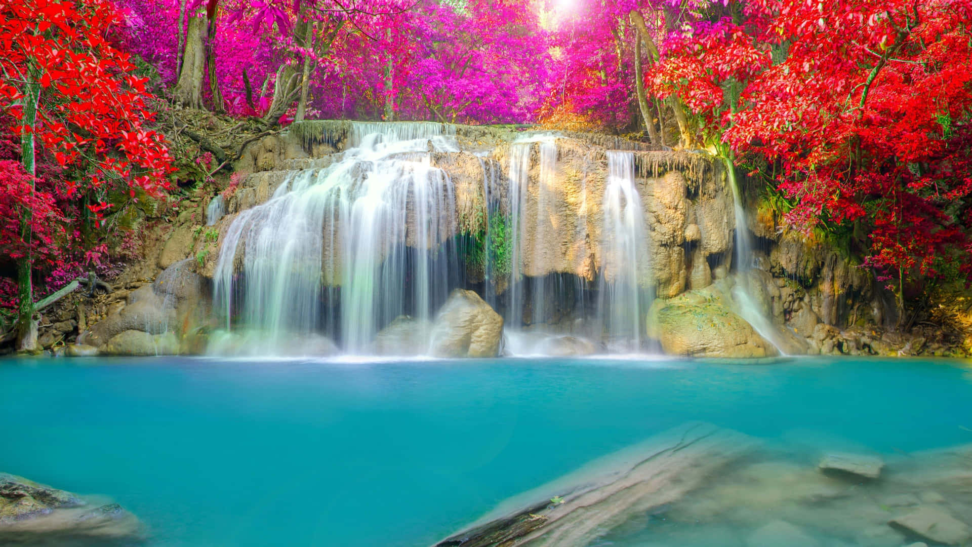 Erlebensie Die Grandiosität Eines Üppigen Wasserfalls