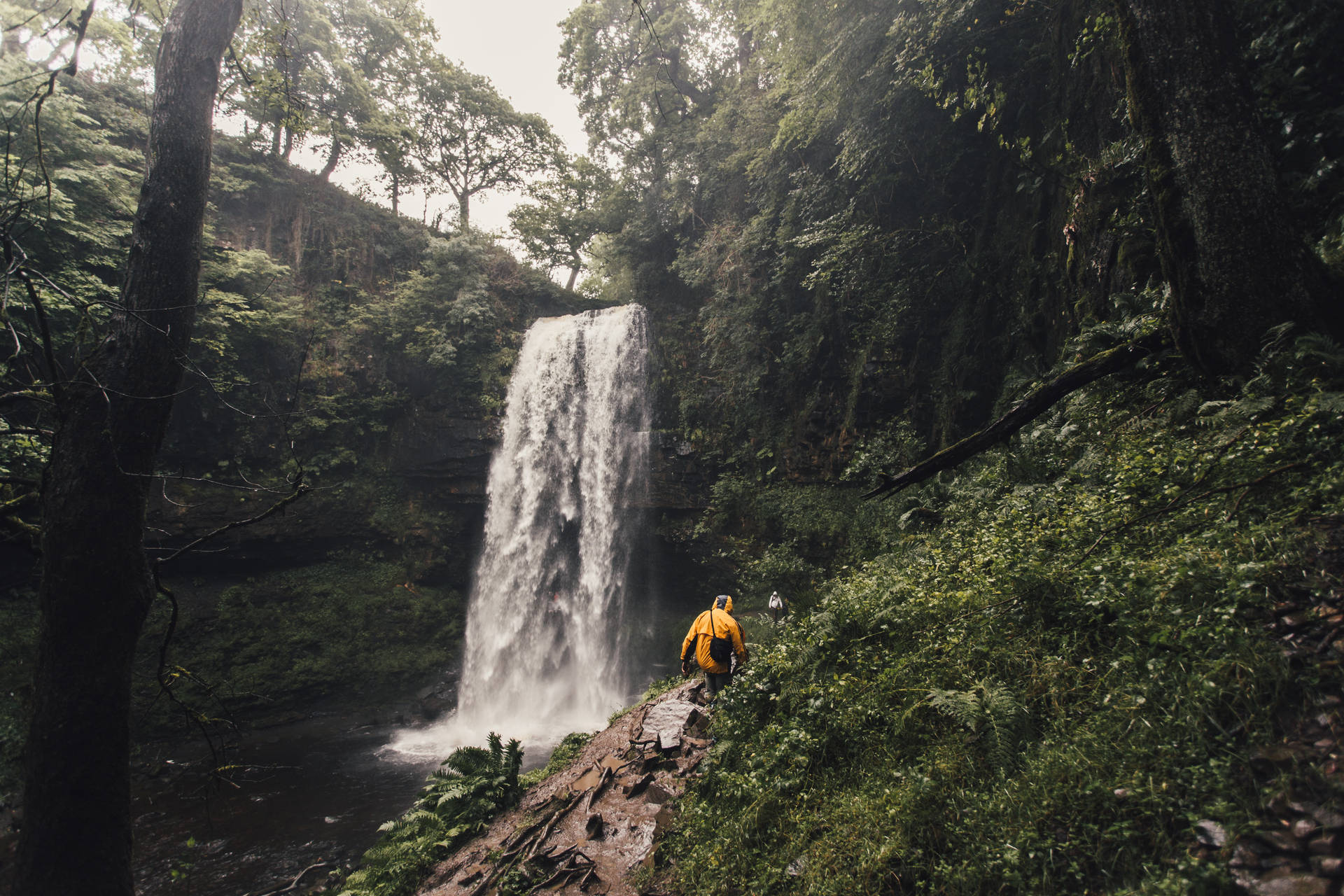 Waterfalls In Wide Forest