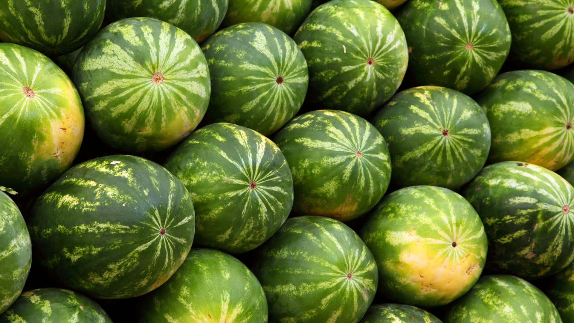 Erstaunlichehintergrundbilder Mit Zahlreichen Wassermelonen