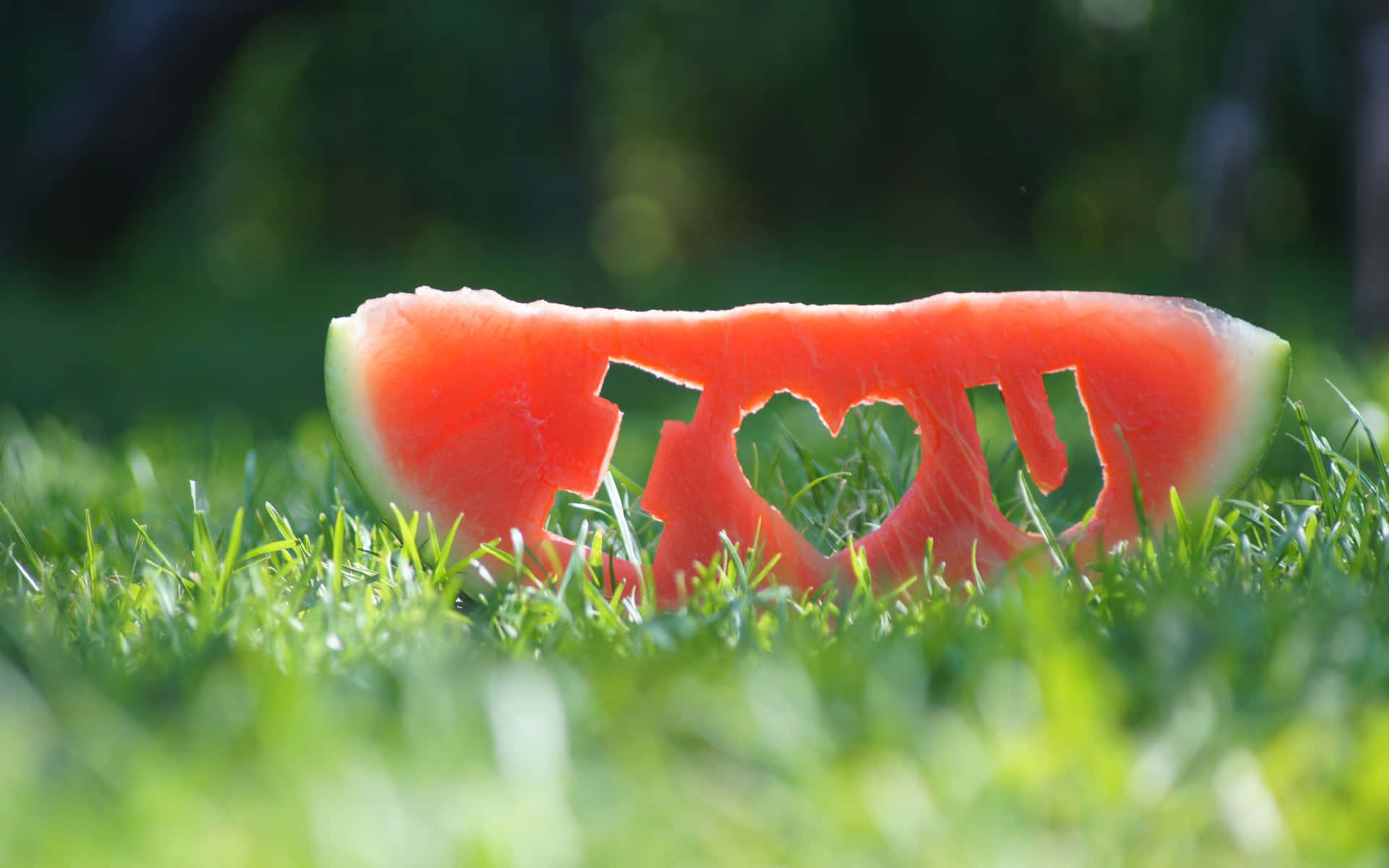 Ichliebe Dich Auf Einem Hintergrund Mit Geschnittenen Wassermelonen.