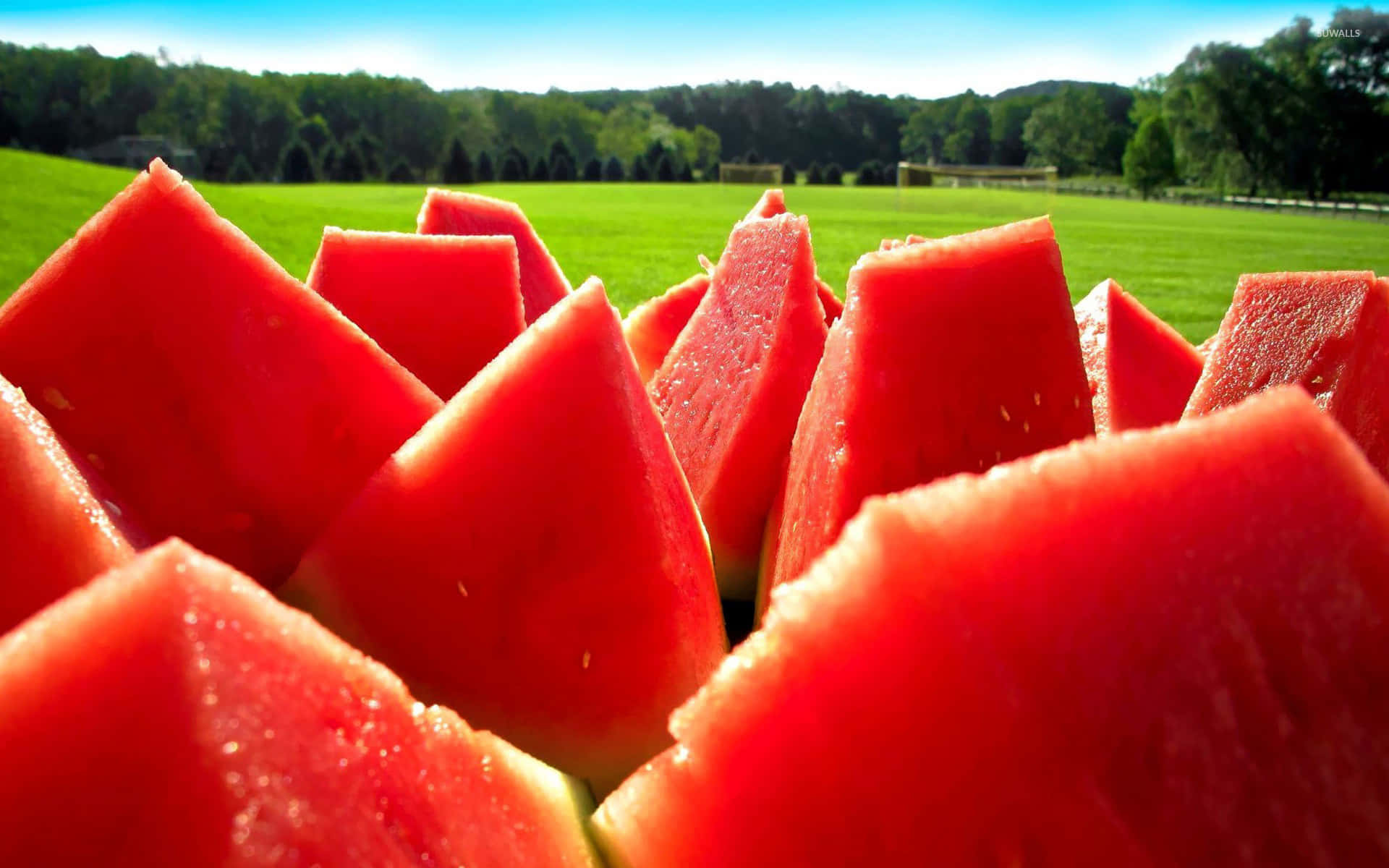 Several Juicy Sliced Watermelons Background