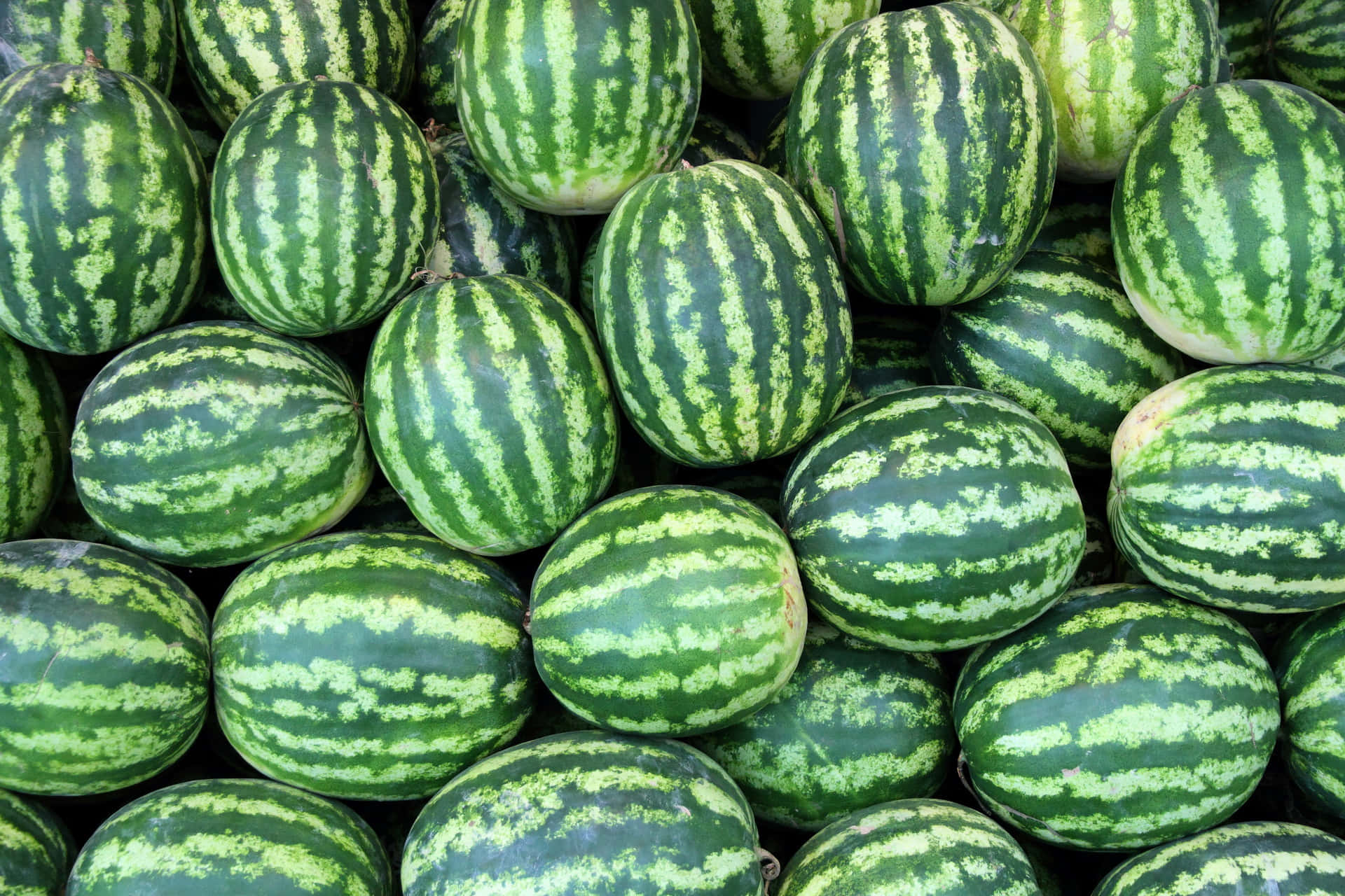 Tiltrækkendebaggrund Med Talrige Watermelon-billeder.