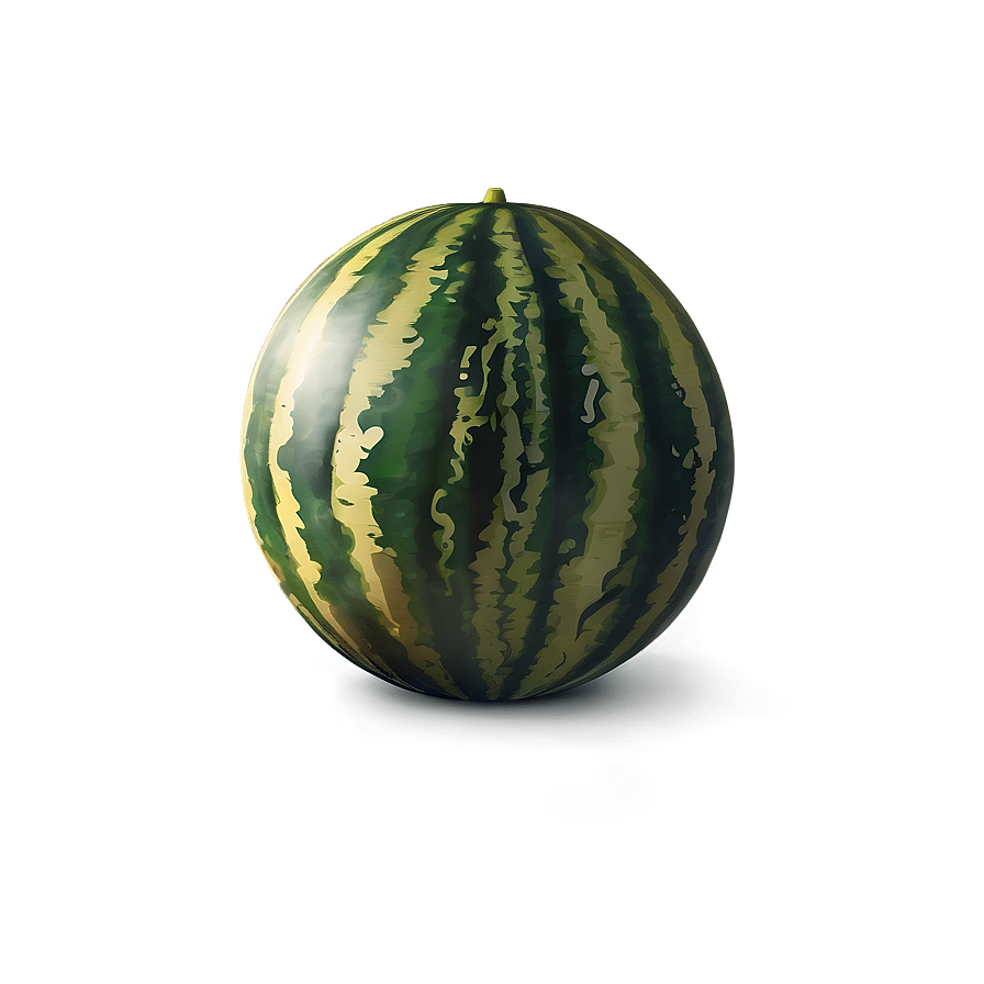 Download Watermelon Party Png 05232024 4536