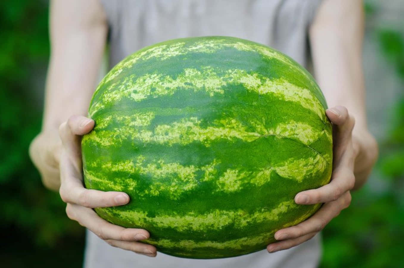 Sötoch Uppfriskande Vattenmelon