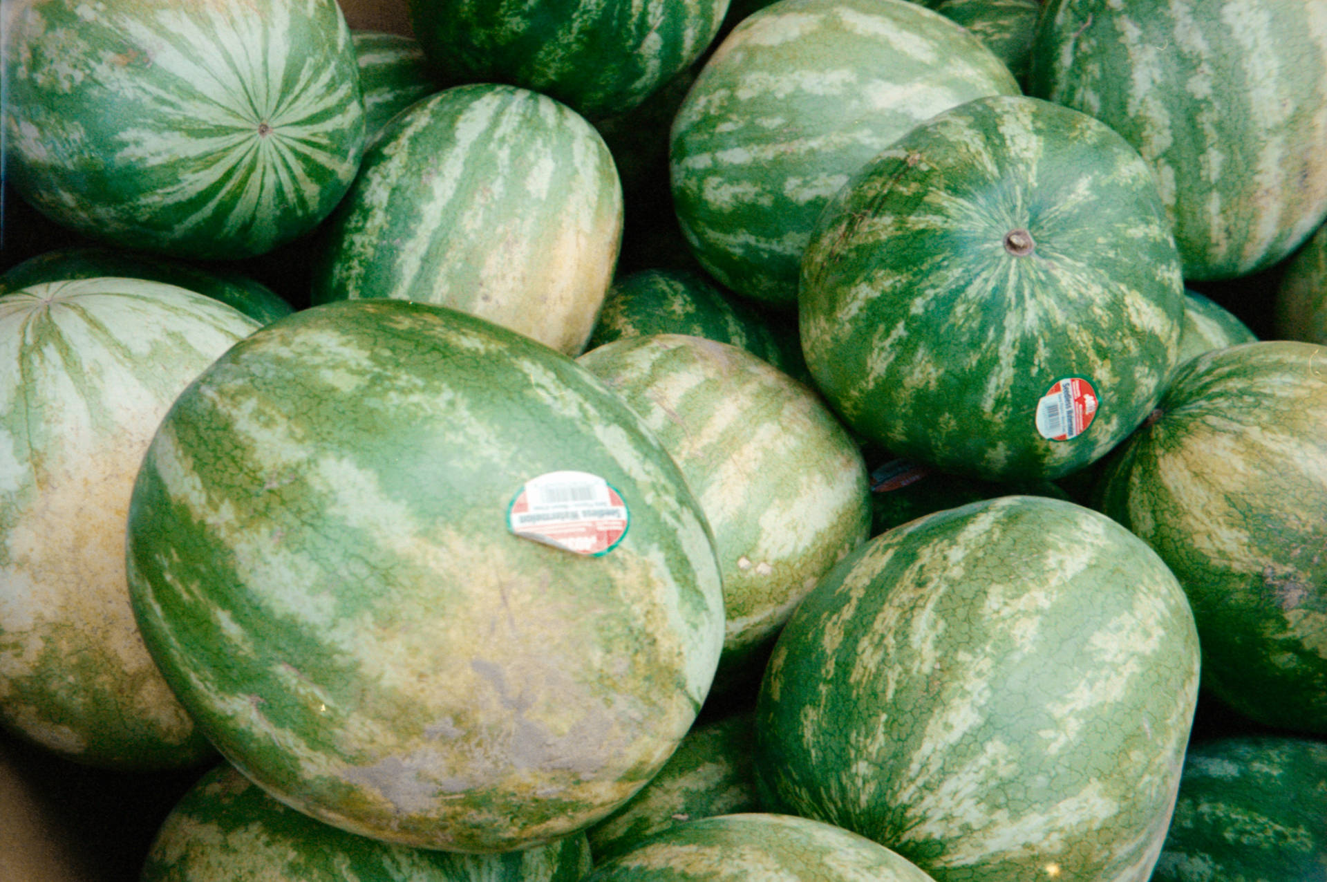 Watermelon With Store Tag Wallpaper