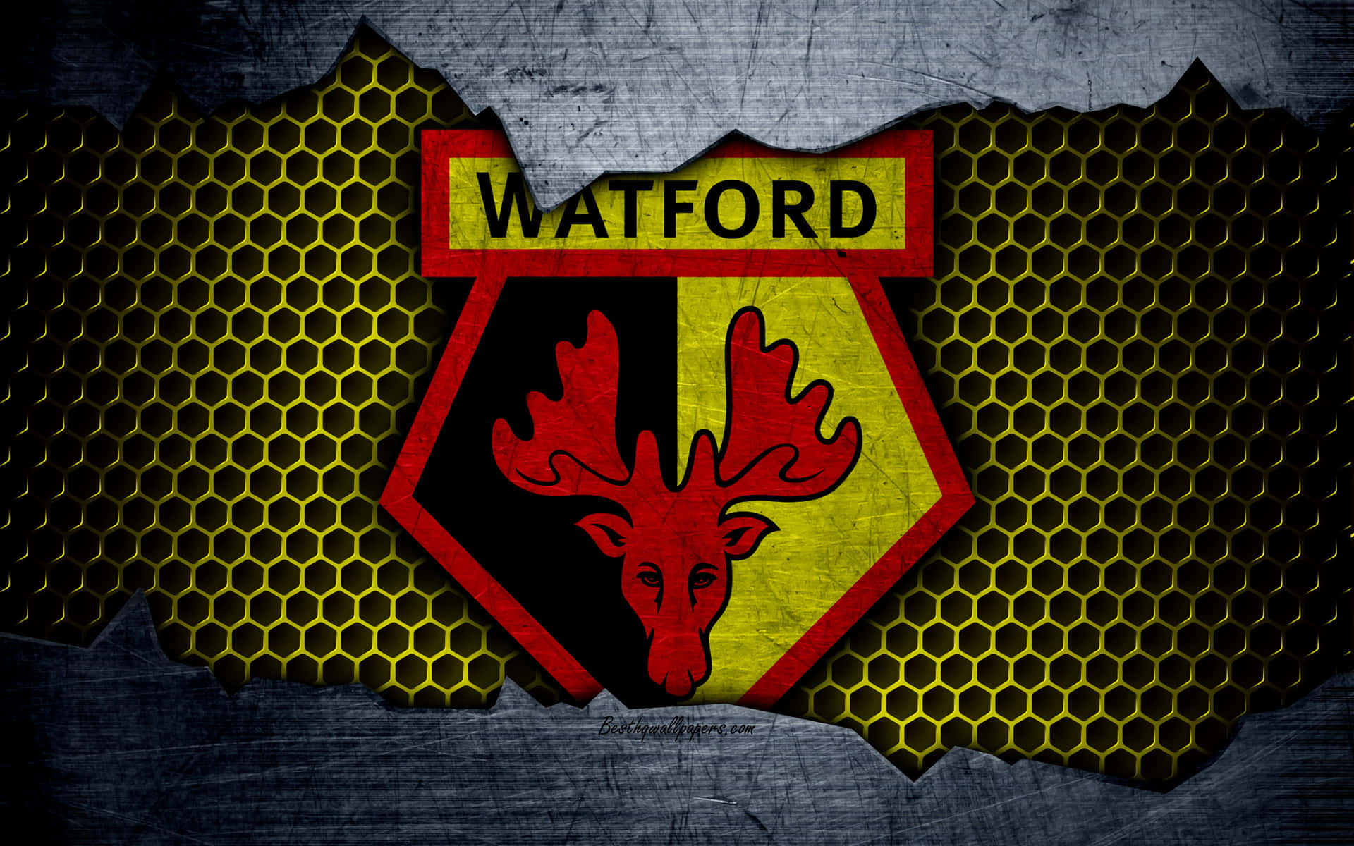 Watford Wallpaper