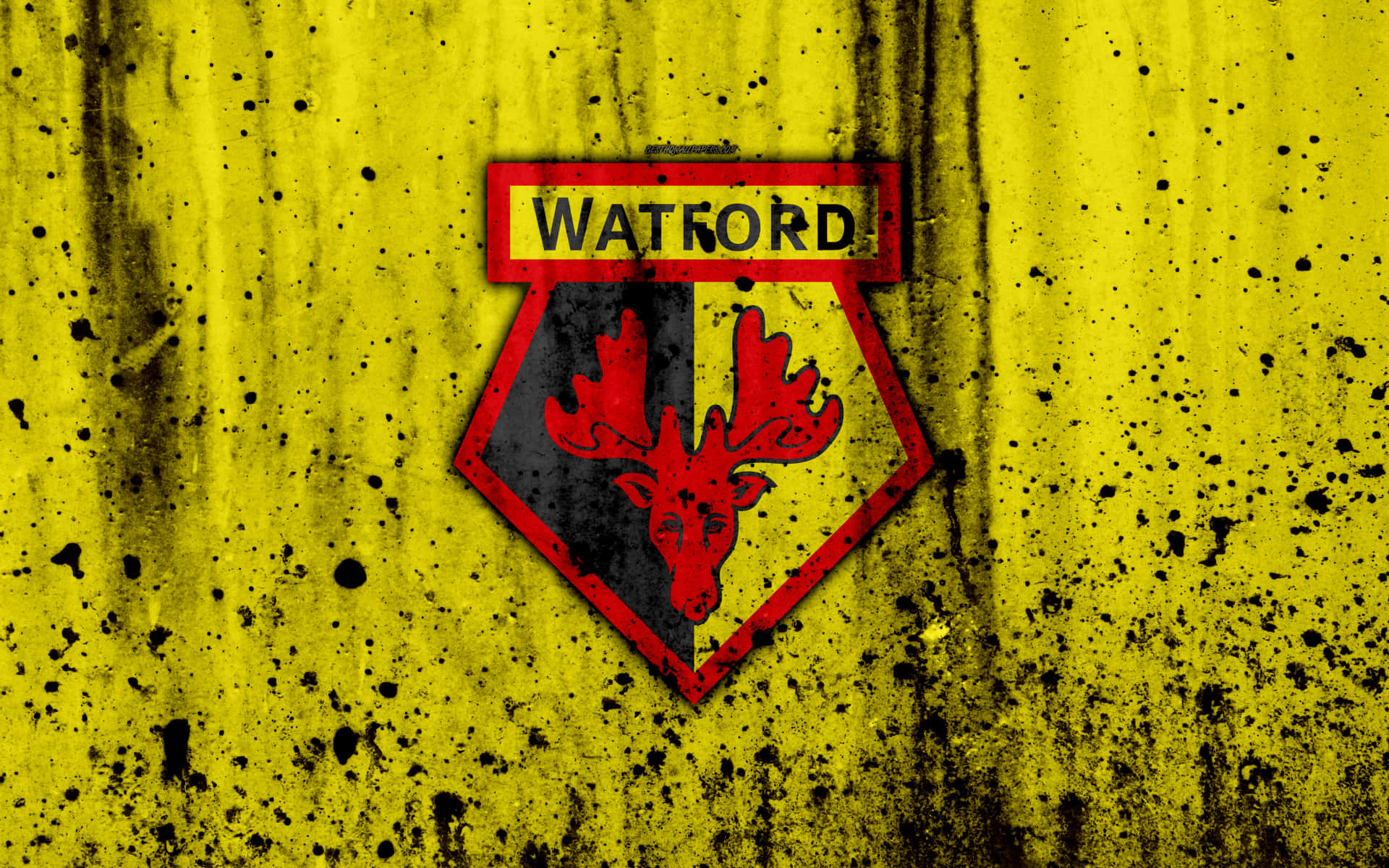 Watford Wallpaper