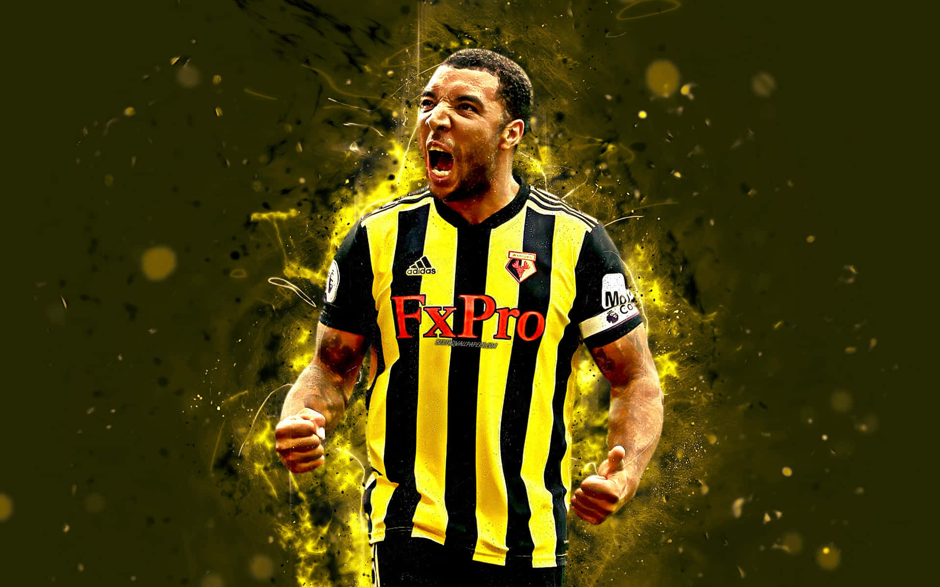 Watford Wallpaper