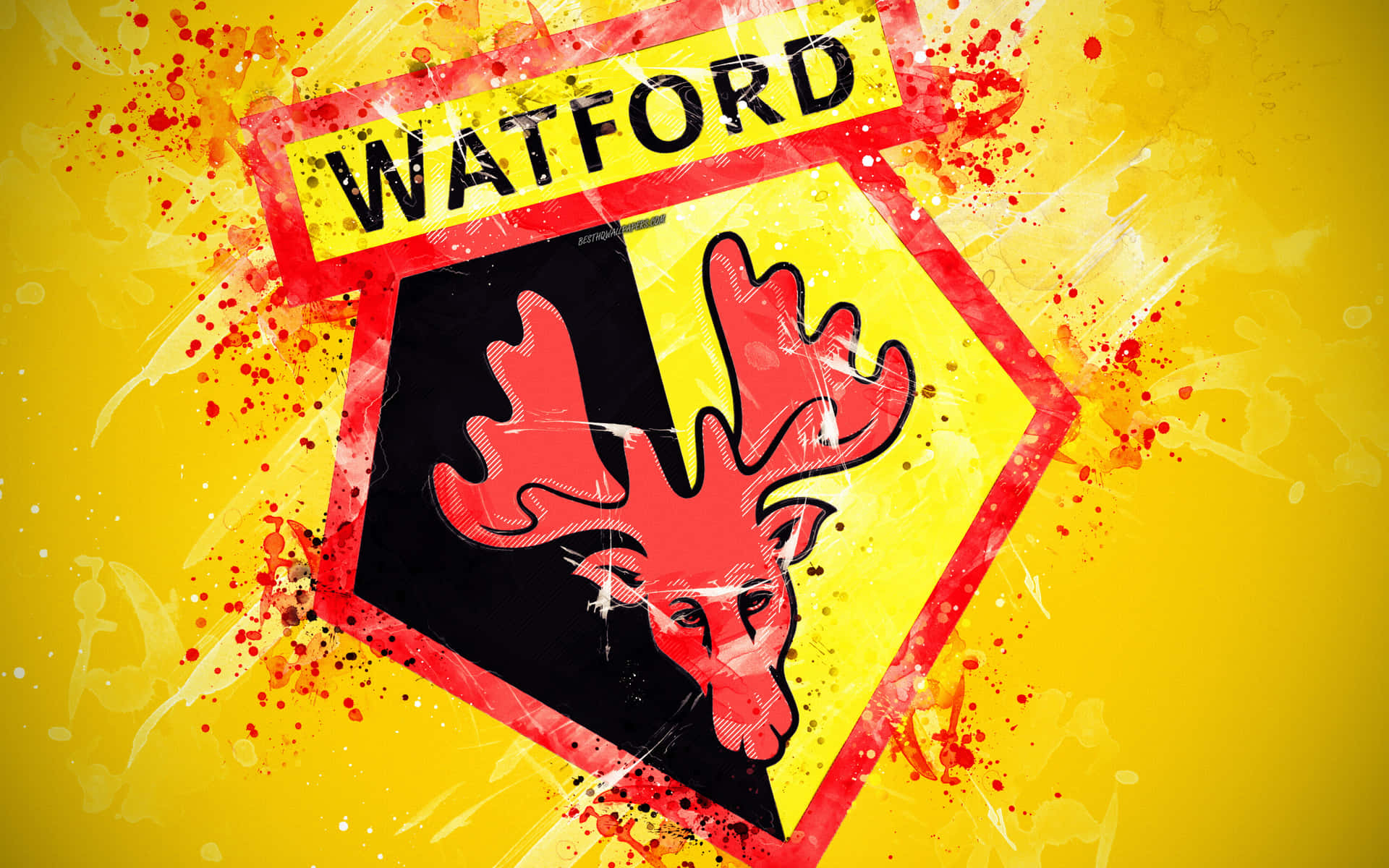 Watford Wallpaper