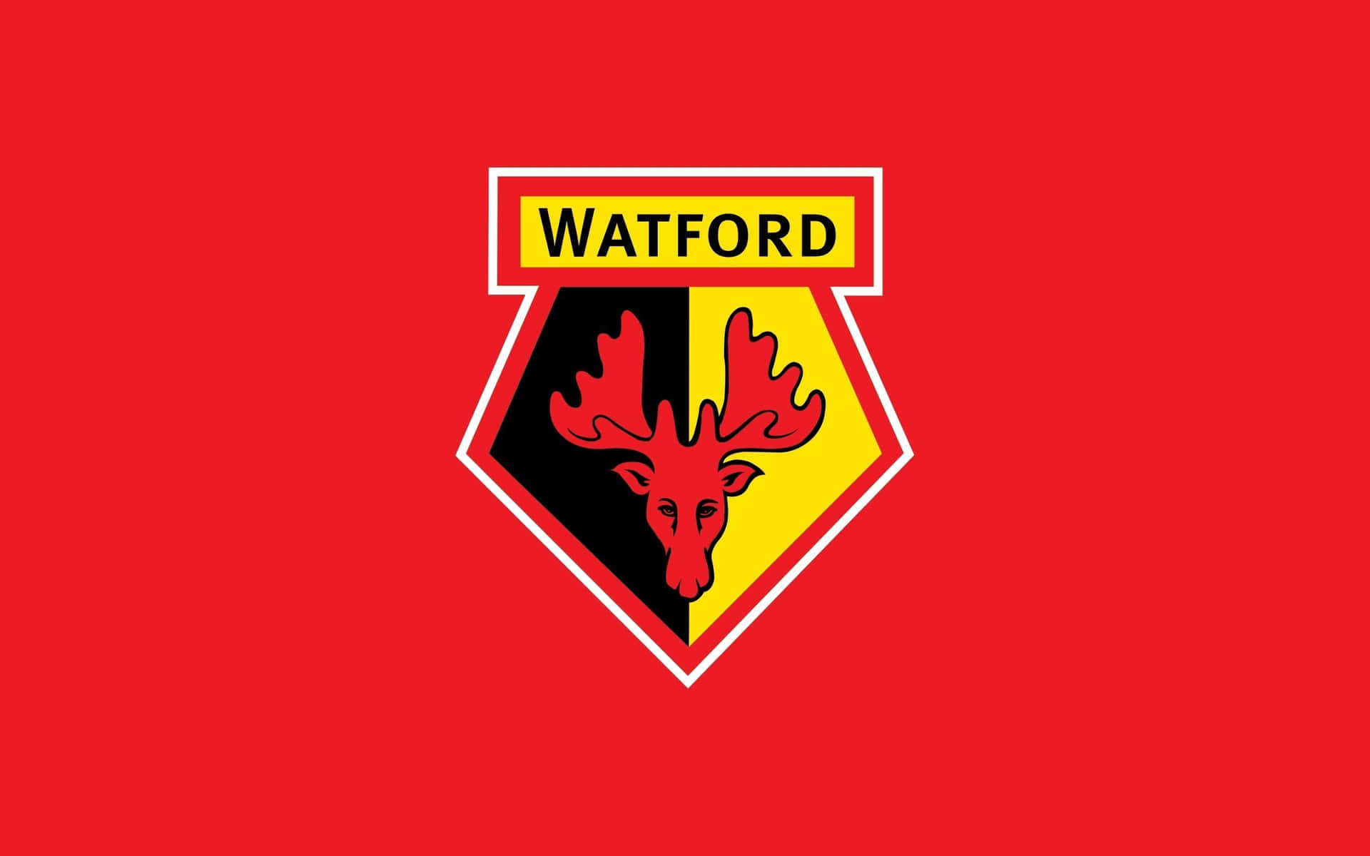 Watford Wallpaper