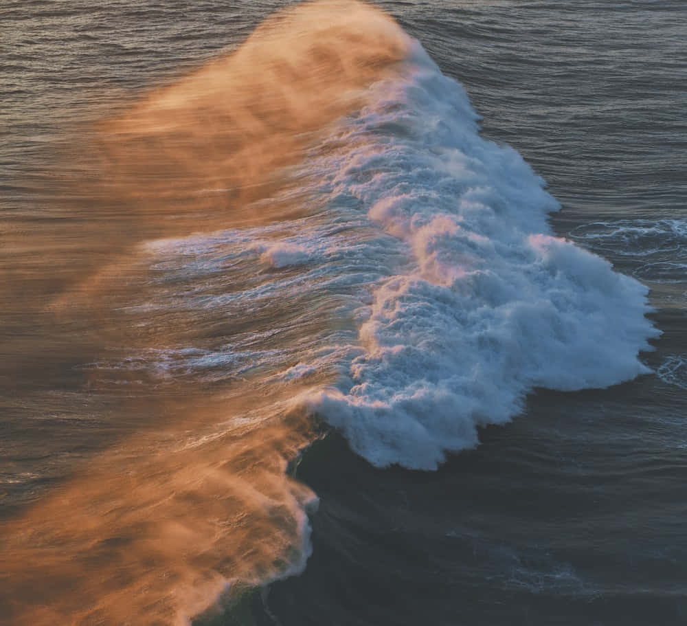 Surfeauf Der Welle