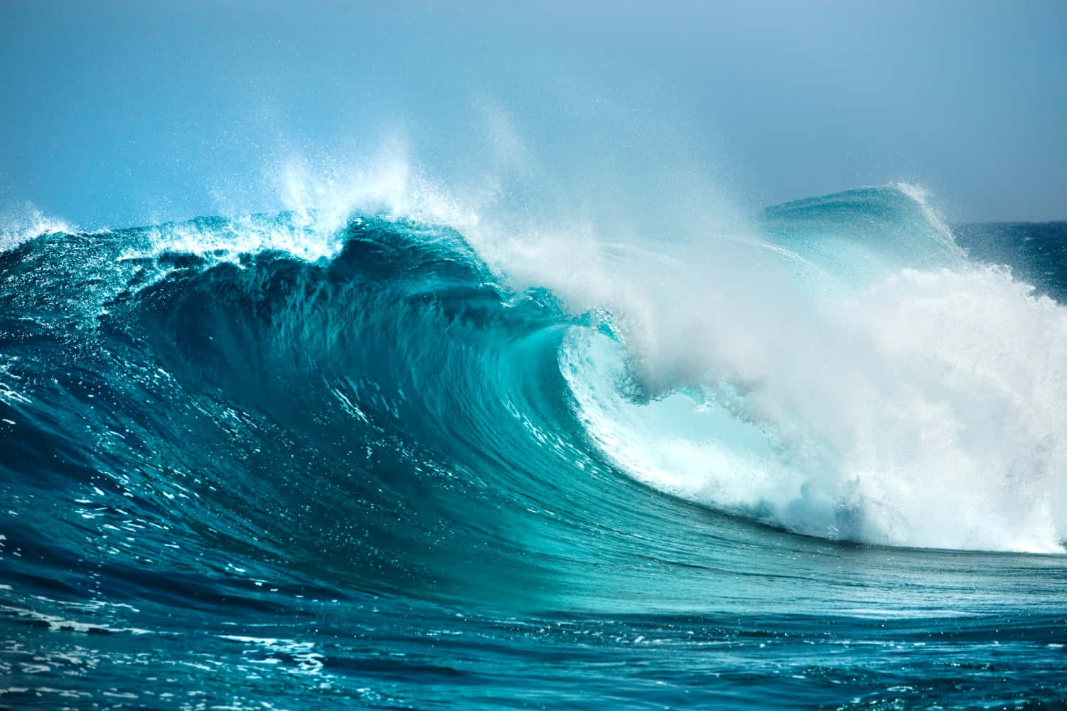 Feel the rush of a powerful wave