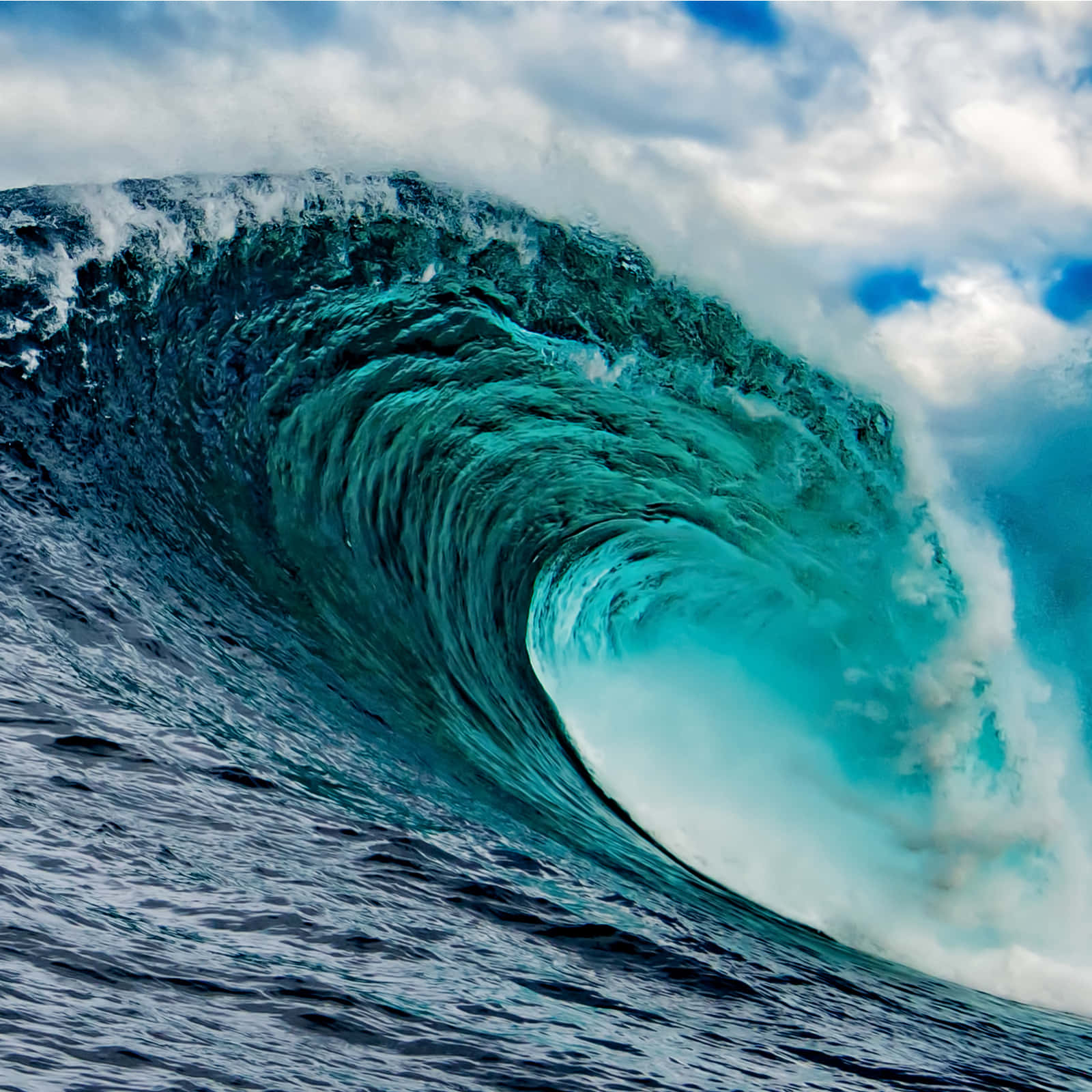 The Majestic Beauty of a Wave