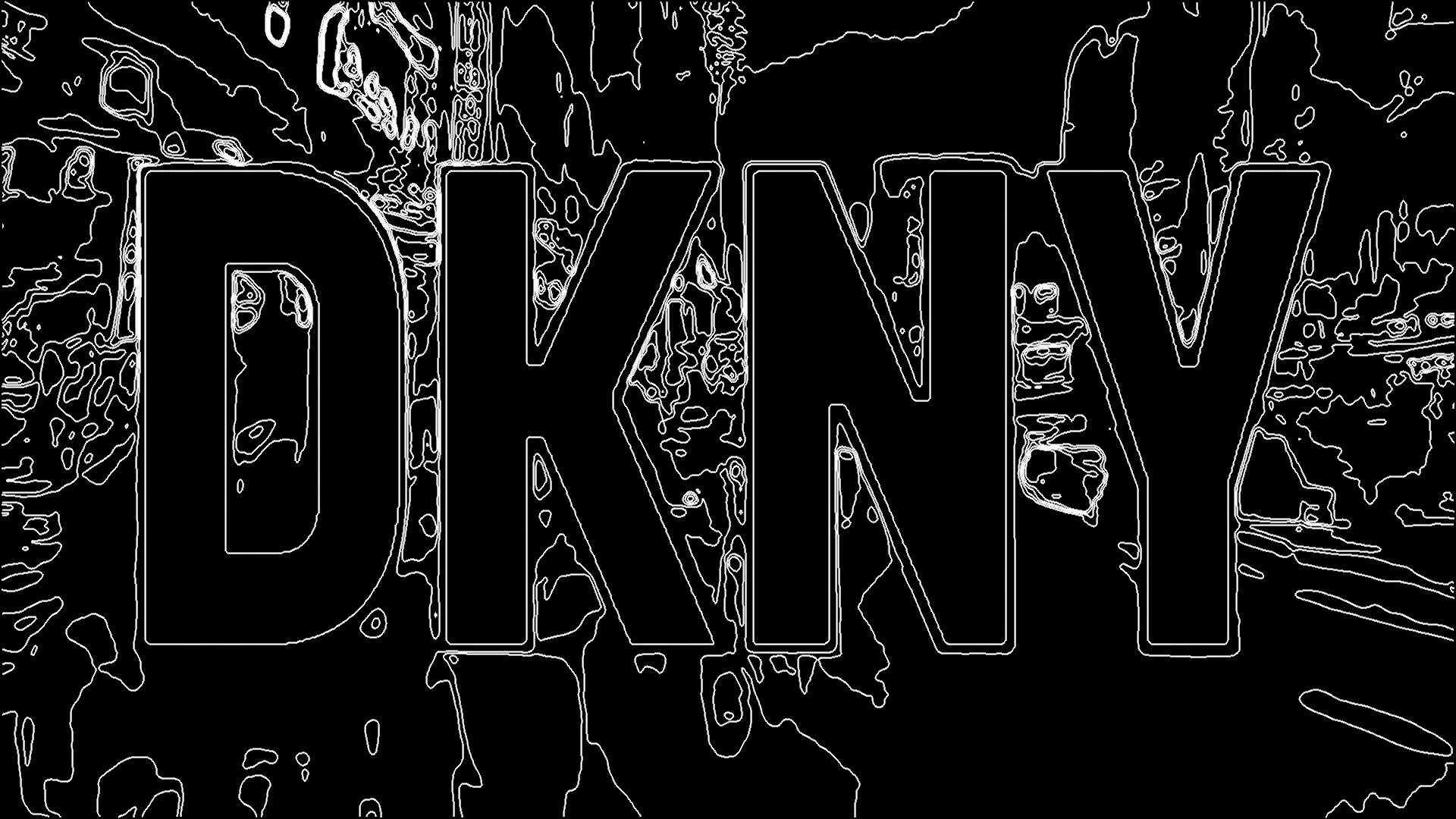 Download B&W DKNY Logo Banner Wallpaper