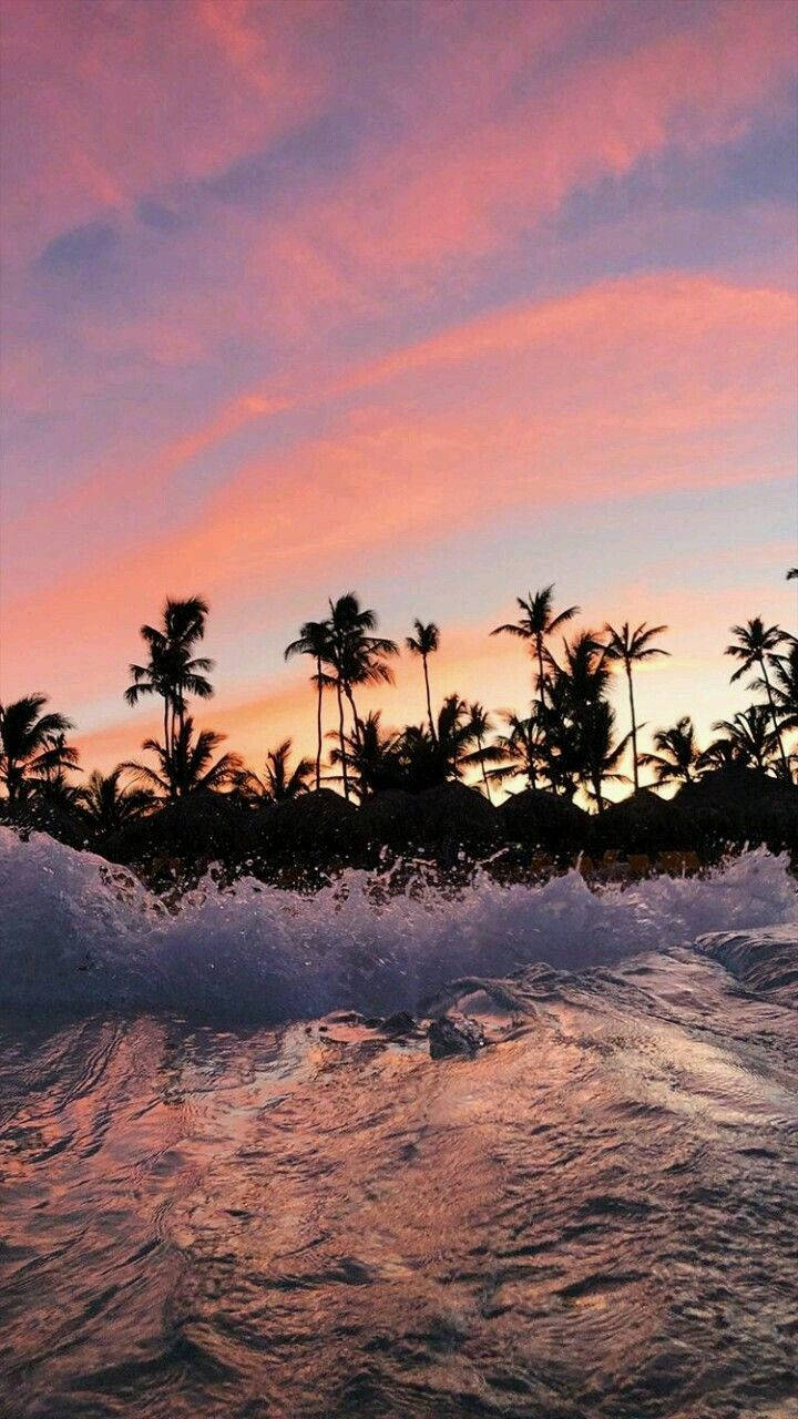 Waves And Palm Trees Malibu Iphone