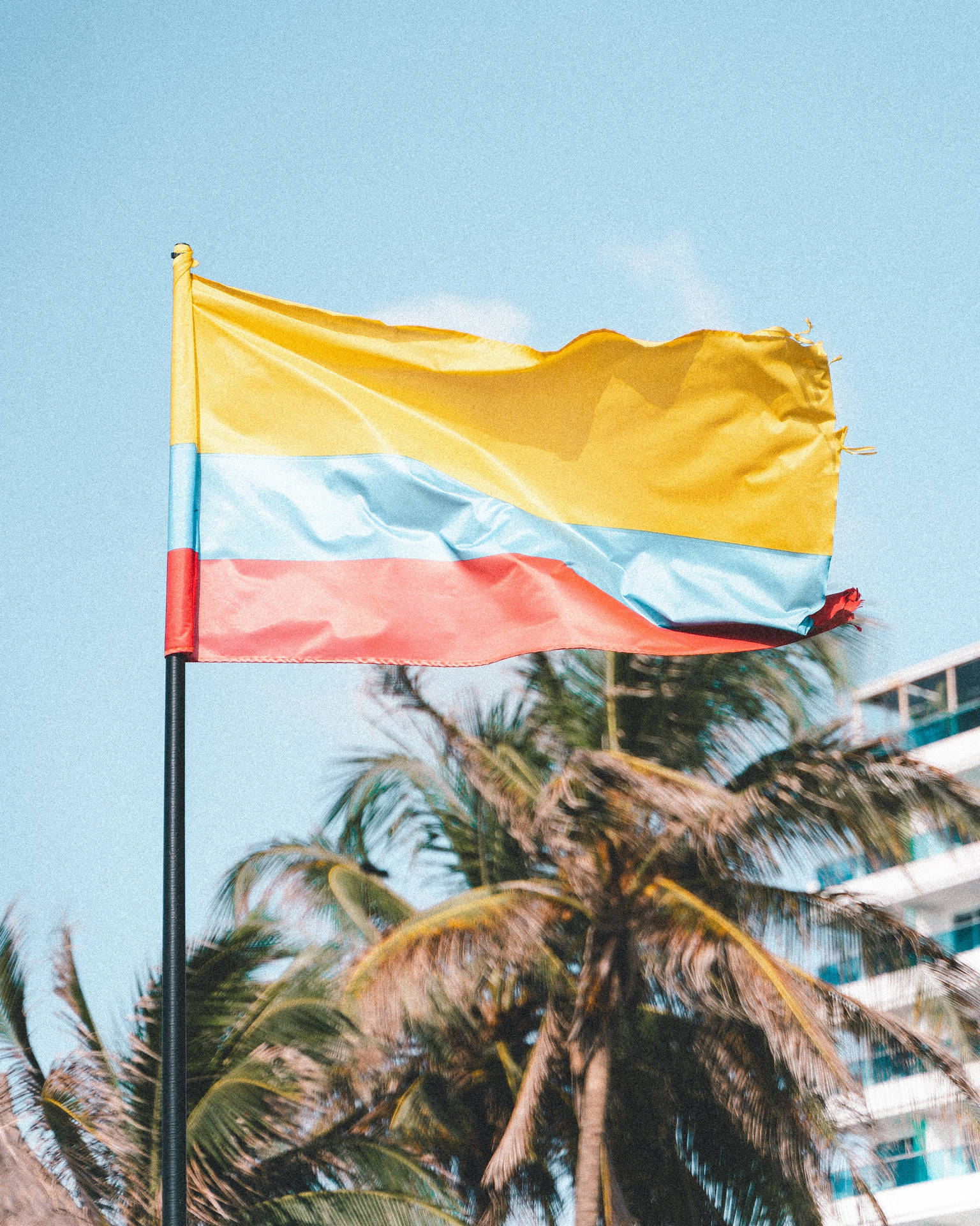 Waving Colombia Flag Palm Tree Wallpaper