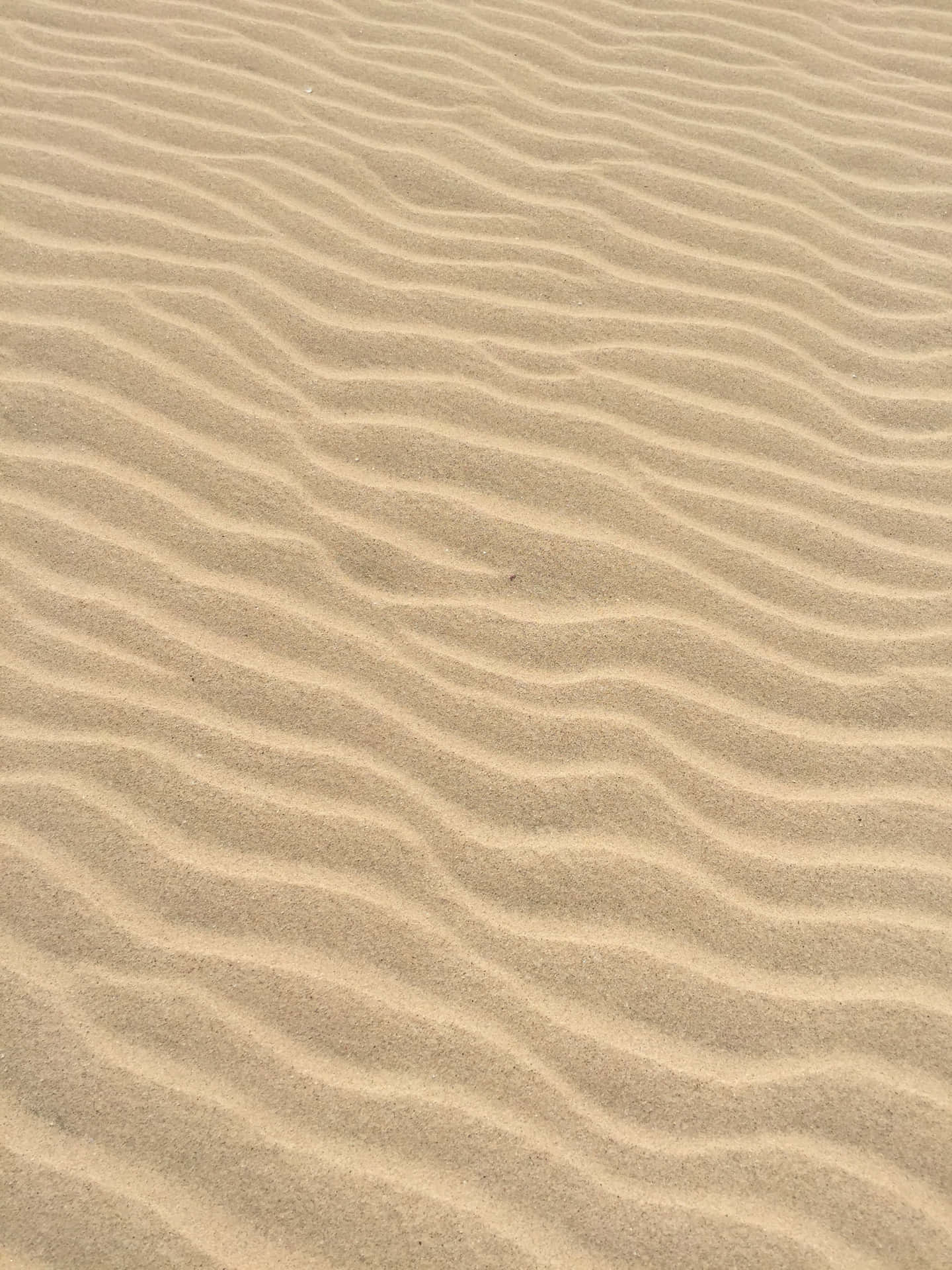 Wavy Sand Pattern Scheme Wallpaper