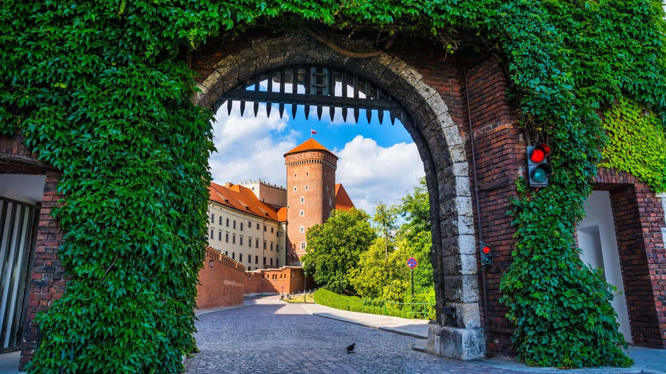 Ingressoal Castello Di Wawel Con Prato. Sfondo