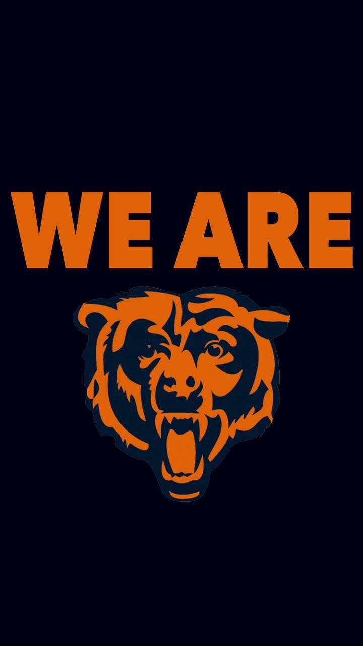 This is our city. This is Bears country. Wallpaper