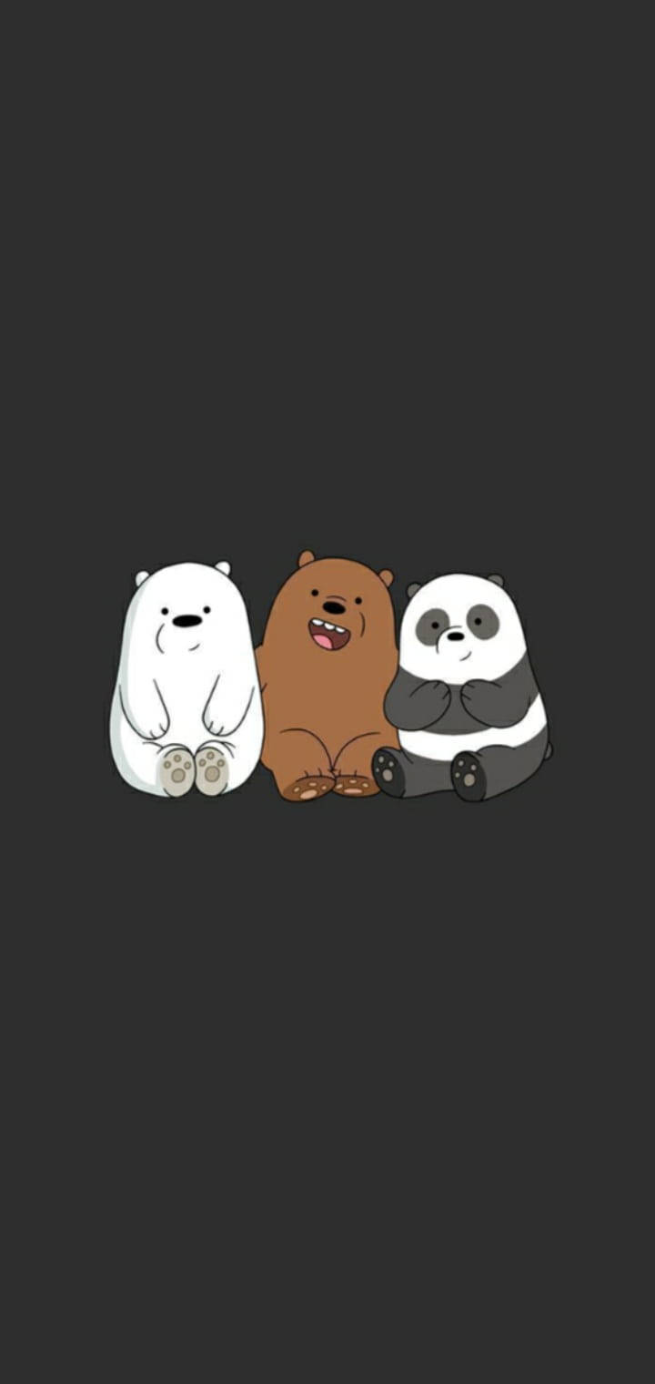 We Bare Bears Aesthetic Black Picture